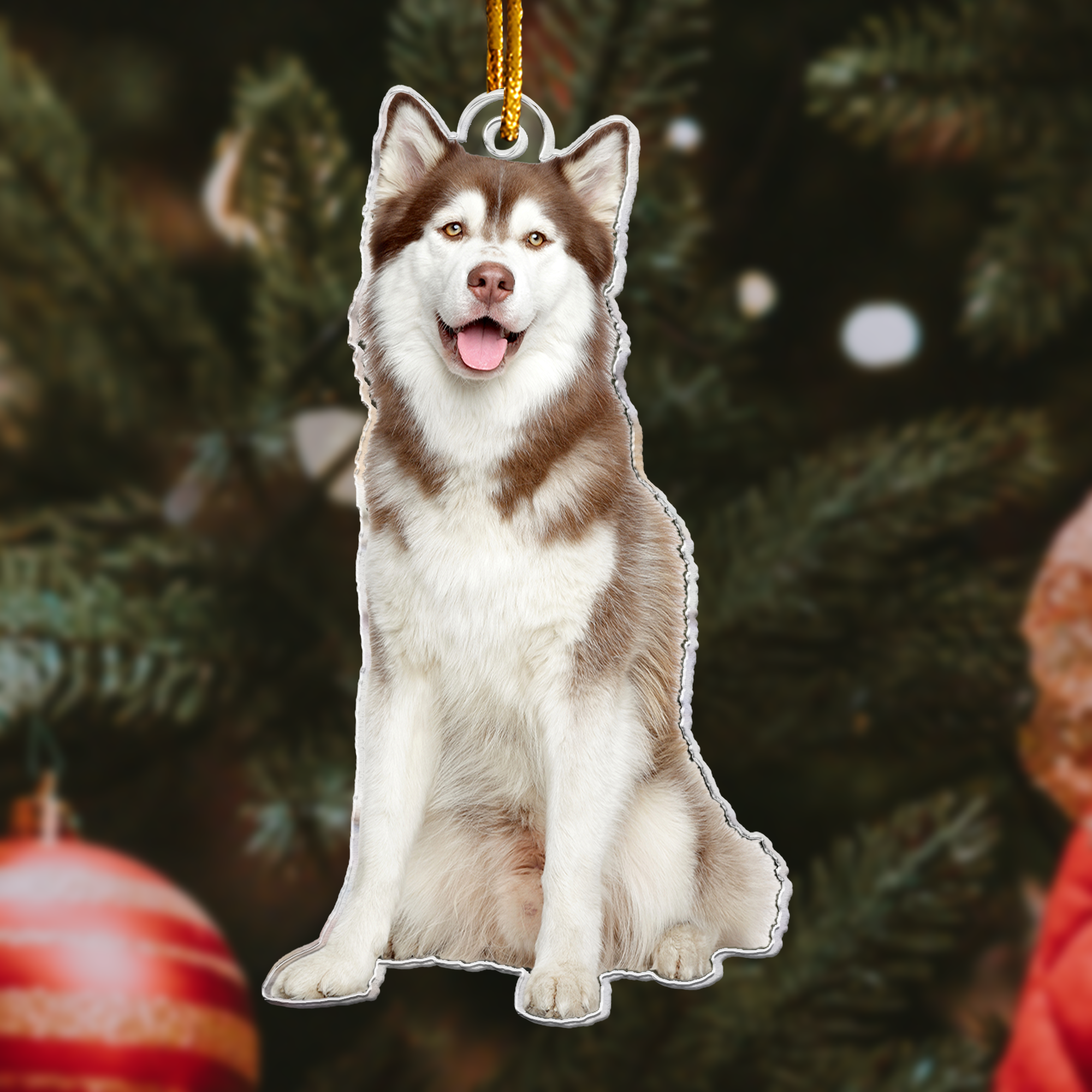 Christmas Husky Ornament Siberian Husky Gifted - Personalized Acrylic Photo Ornament