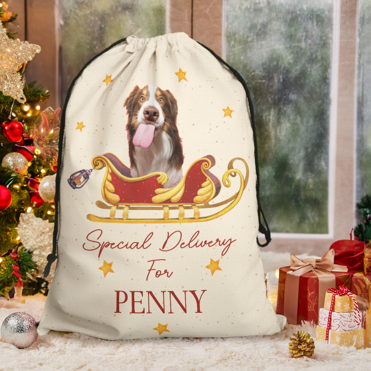 Christmas Special Delivery For Pet - Personalized Photo Christmas Sack