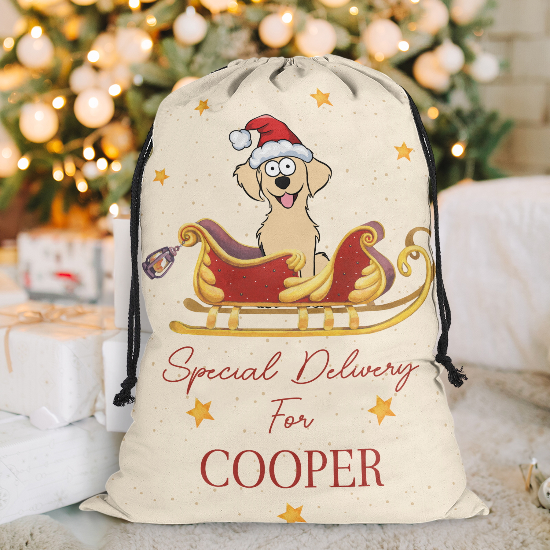 Christmas Special Delivery For Pet - Personalized Photo Christmas Sack