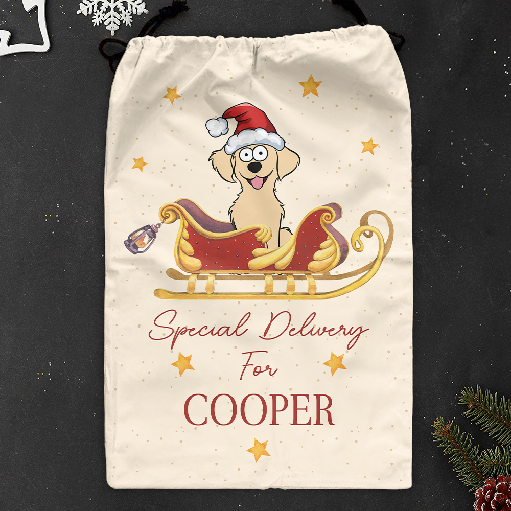 Christmas Special Delivery For Pet - Personalized Photo Christmas Sack