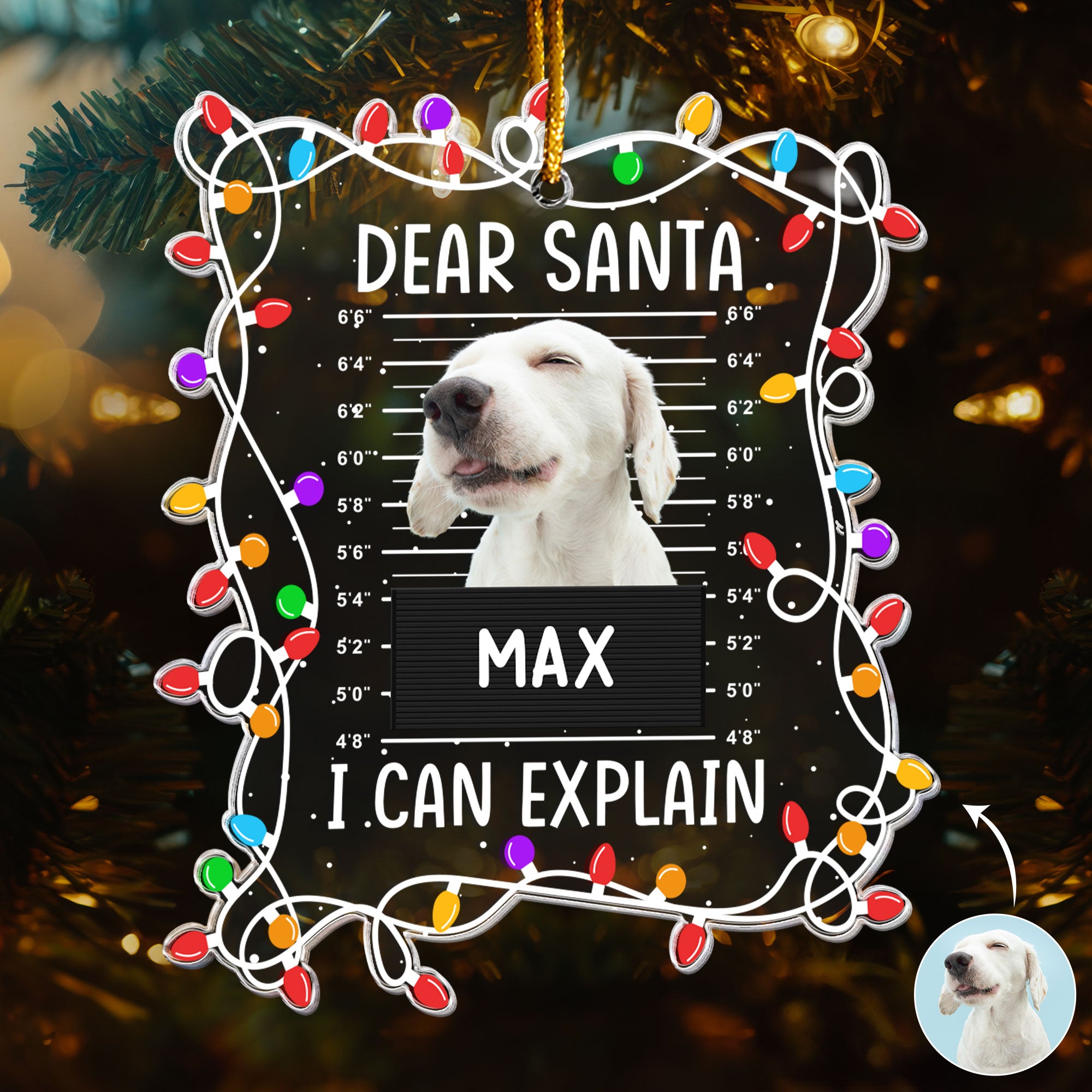 Dear Santa I Can Explain - Personalized Acrylic Photo Ornament