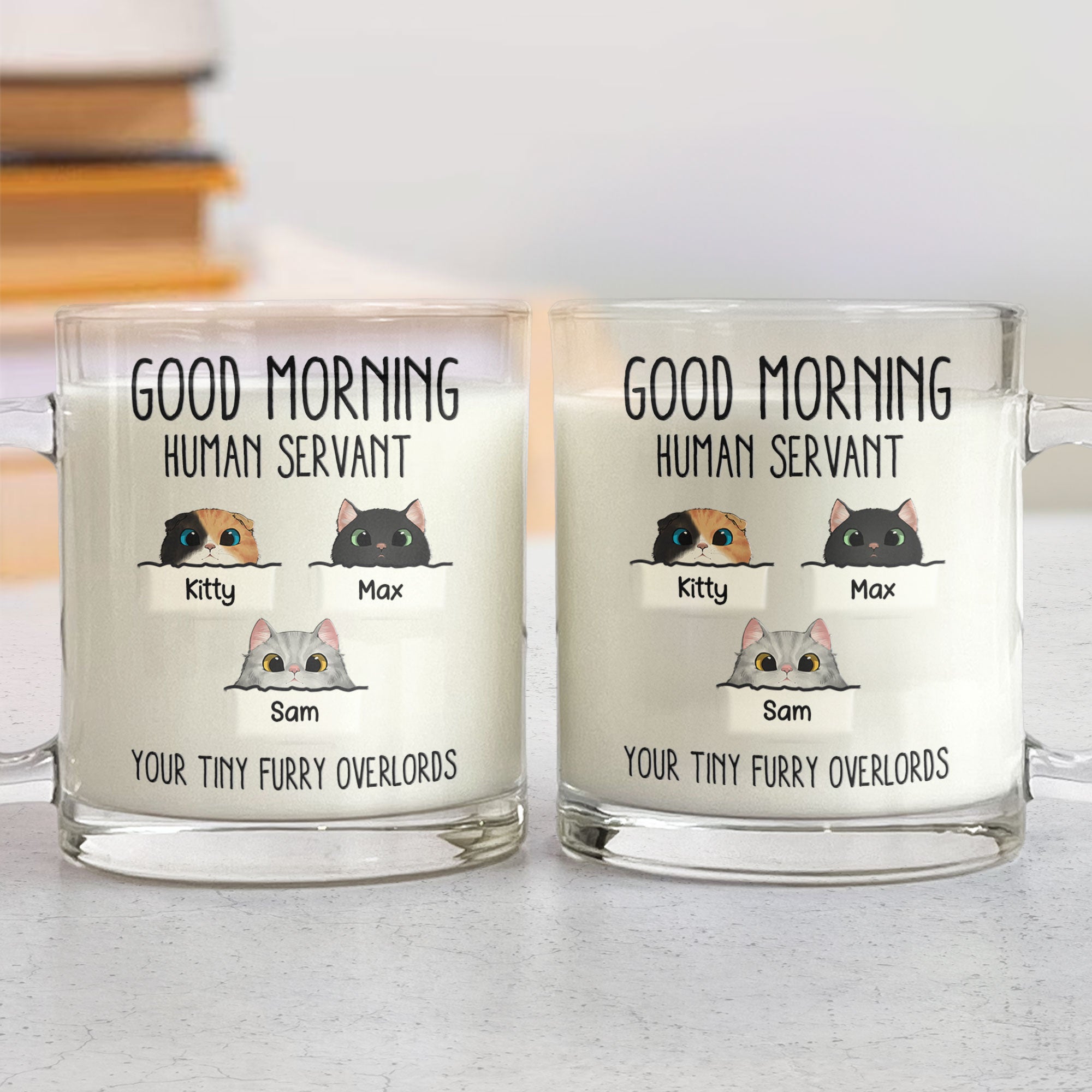 Funny Mug With Pets Good Morning Human Servant - Personalized Glass Mug