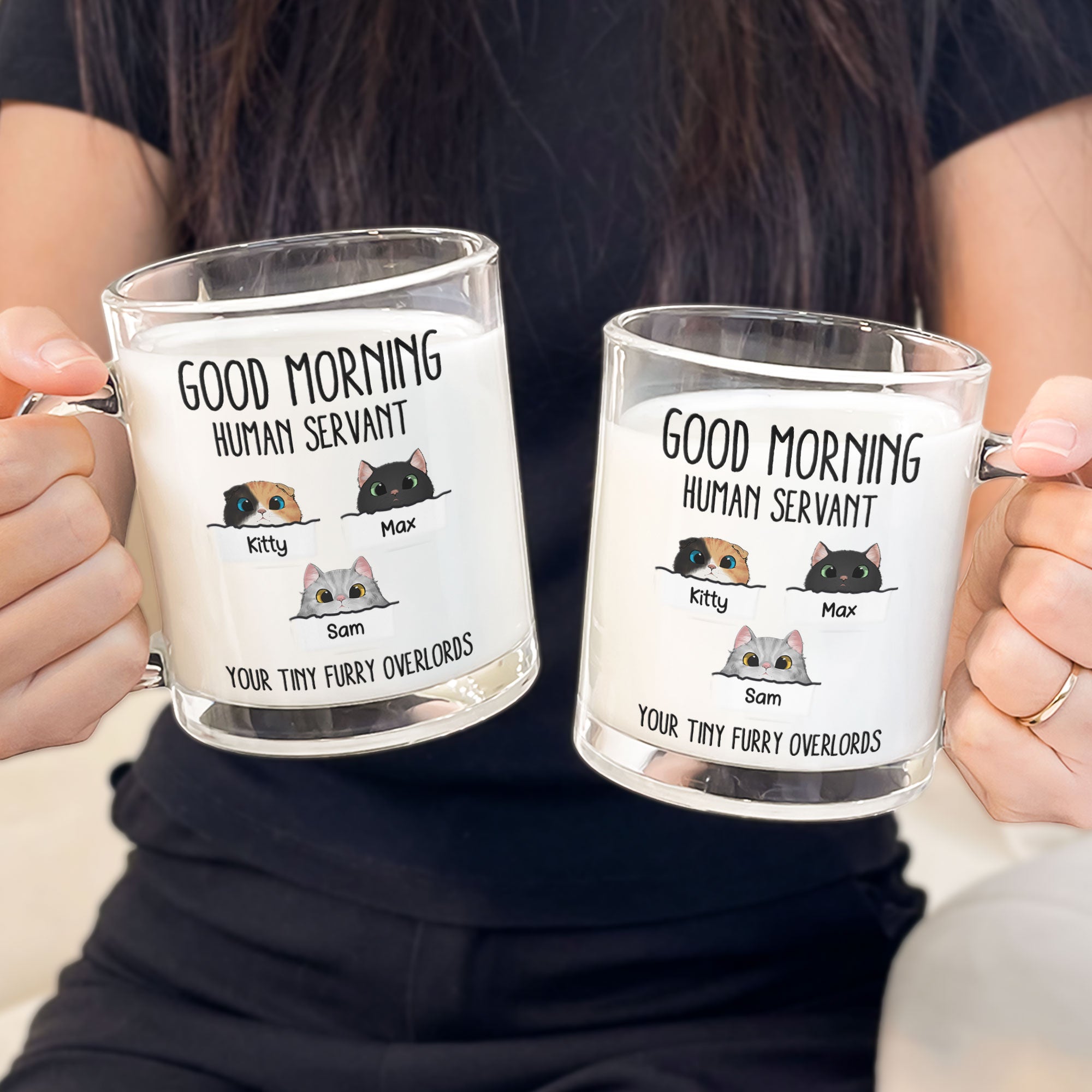 Funny Mug With Pets Good Morning Human Servant - Personalized Glass Mug