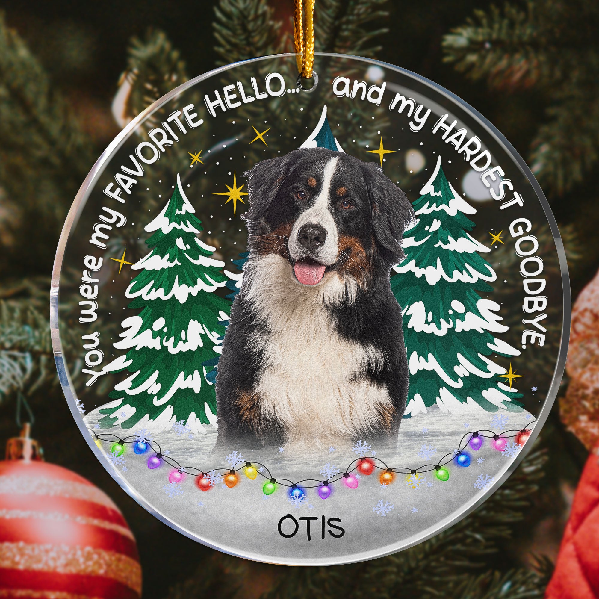 My Favorite Hello & Hardest Goodbye Pet Loss - Personalized Acrylic Photo Ornament