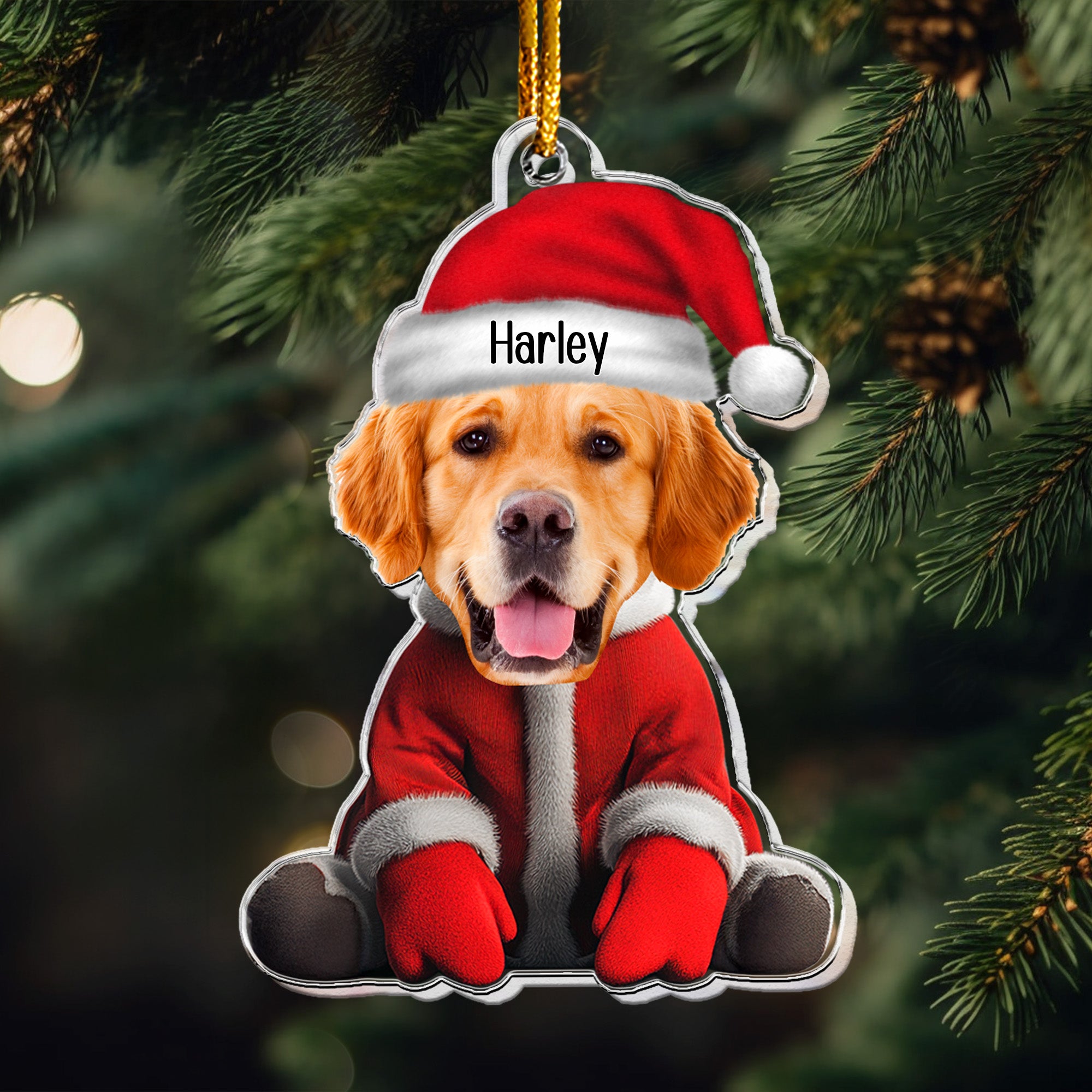 Ornament Custom Face For Pet Loves Funny - Personalized Acrylic Photo Ornament