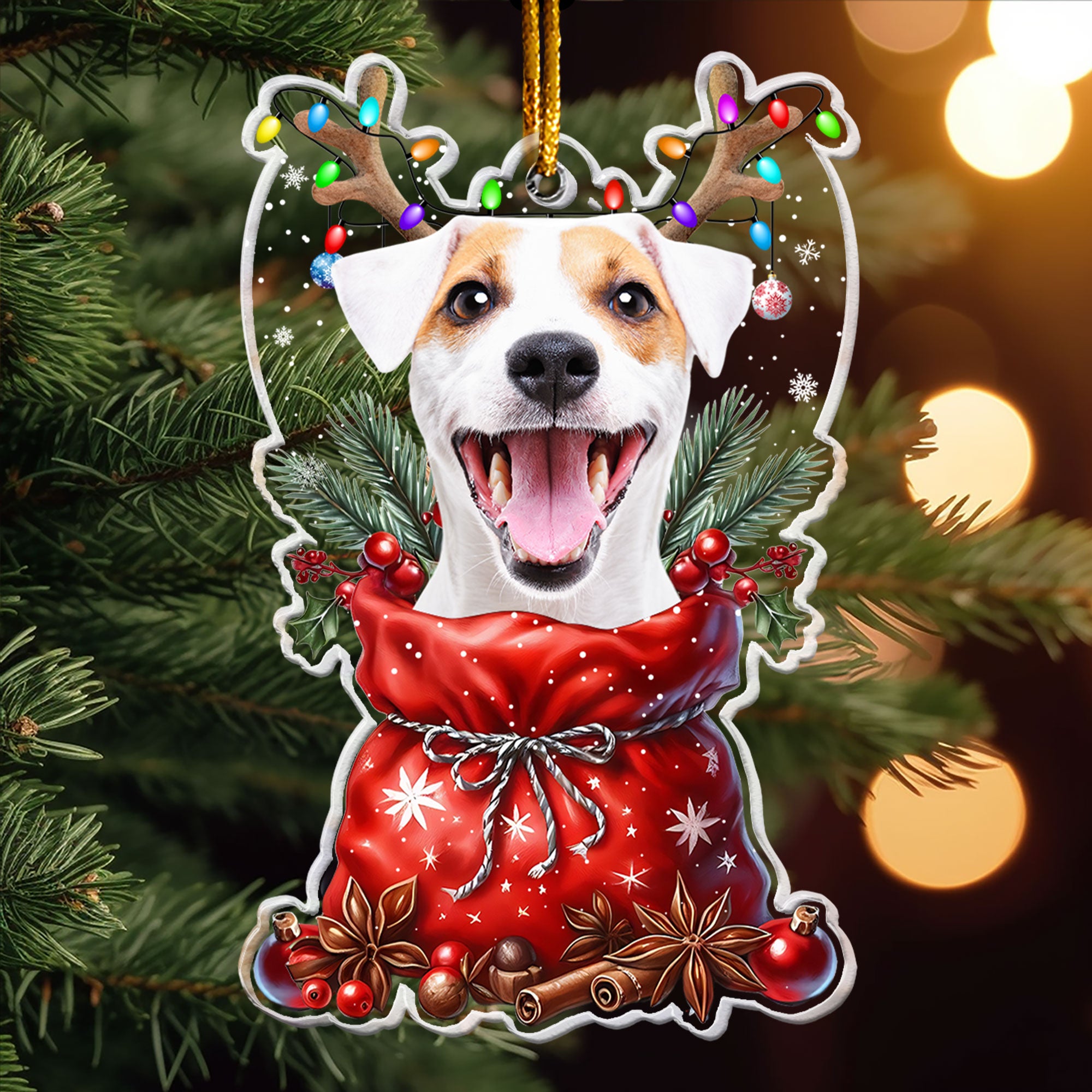 Peeking Pet Christmas - Personalized Acrylic Ornament