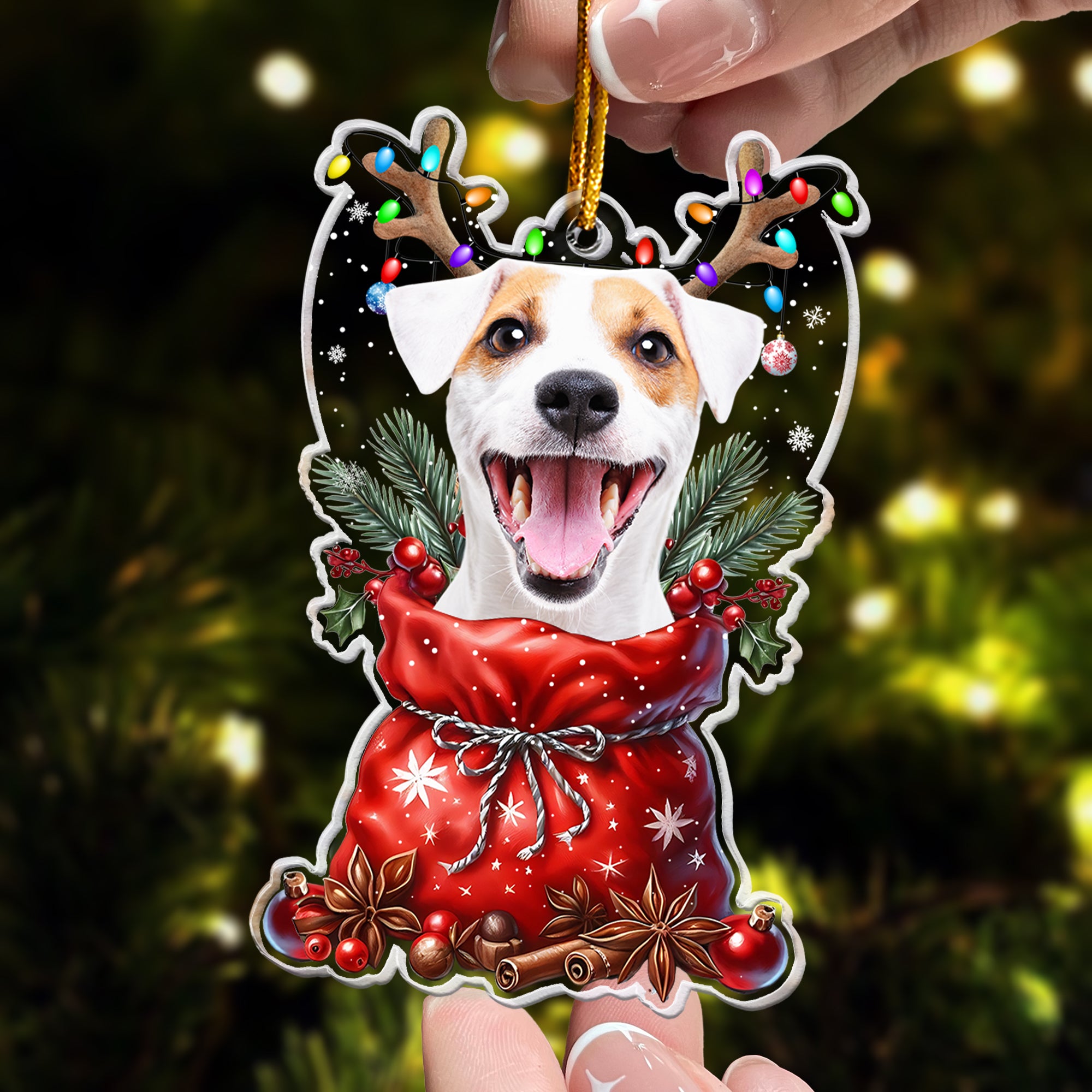 Peeking Pet Christmas - Personalized Acrylic Ornament