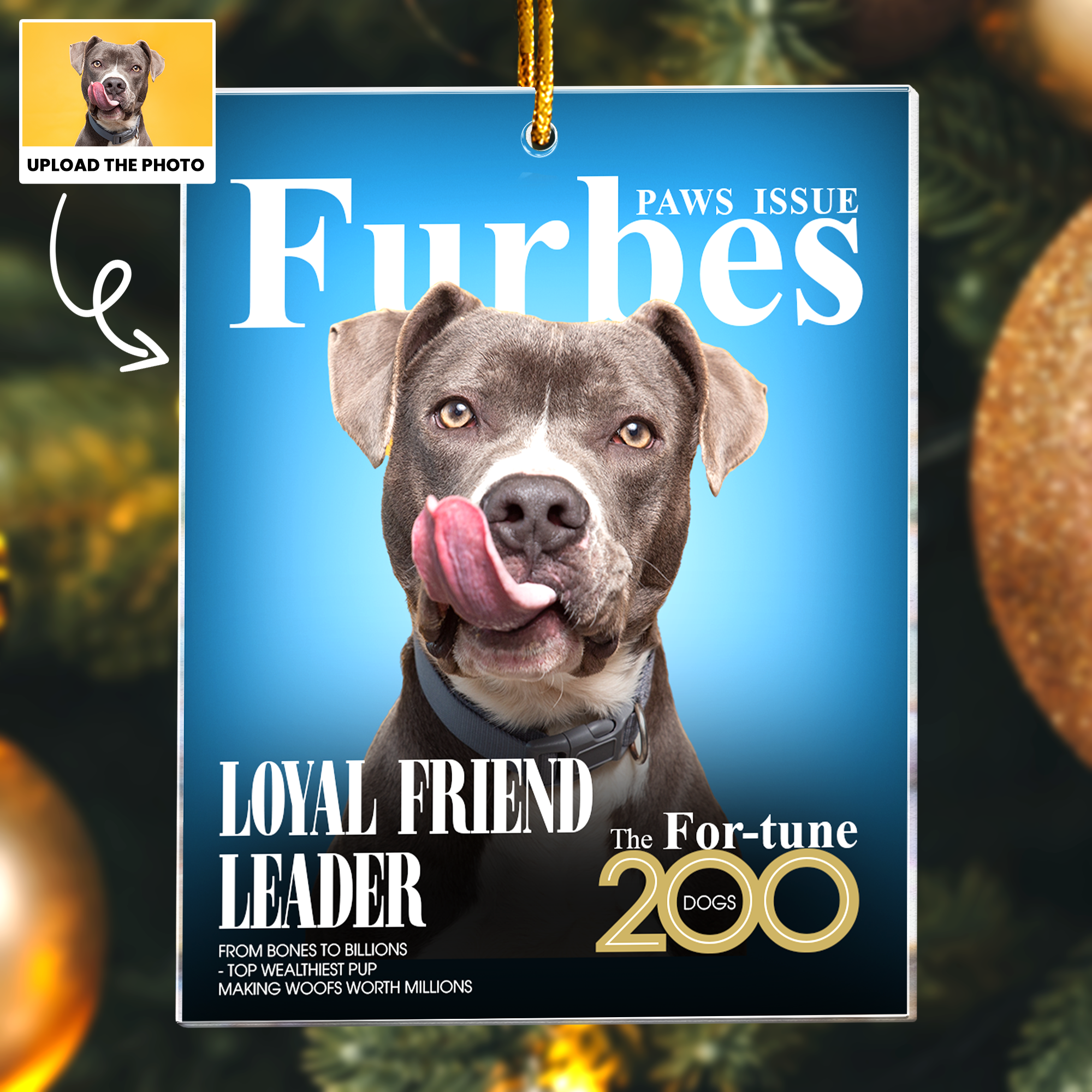 Pet Furbes Magazine - Custom Pet Portrait - Gifts For Dog Lovers, Cat Lovers - Personalized Acrylic Photo Ornament