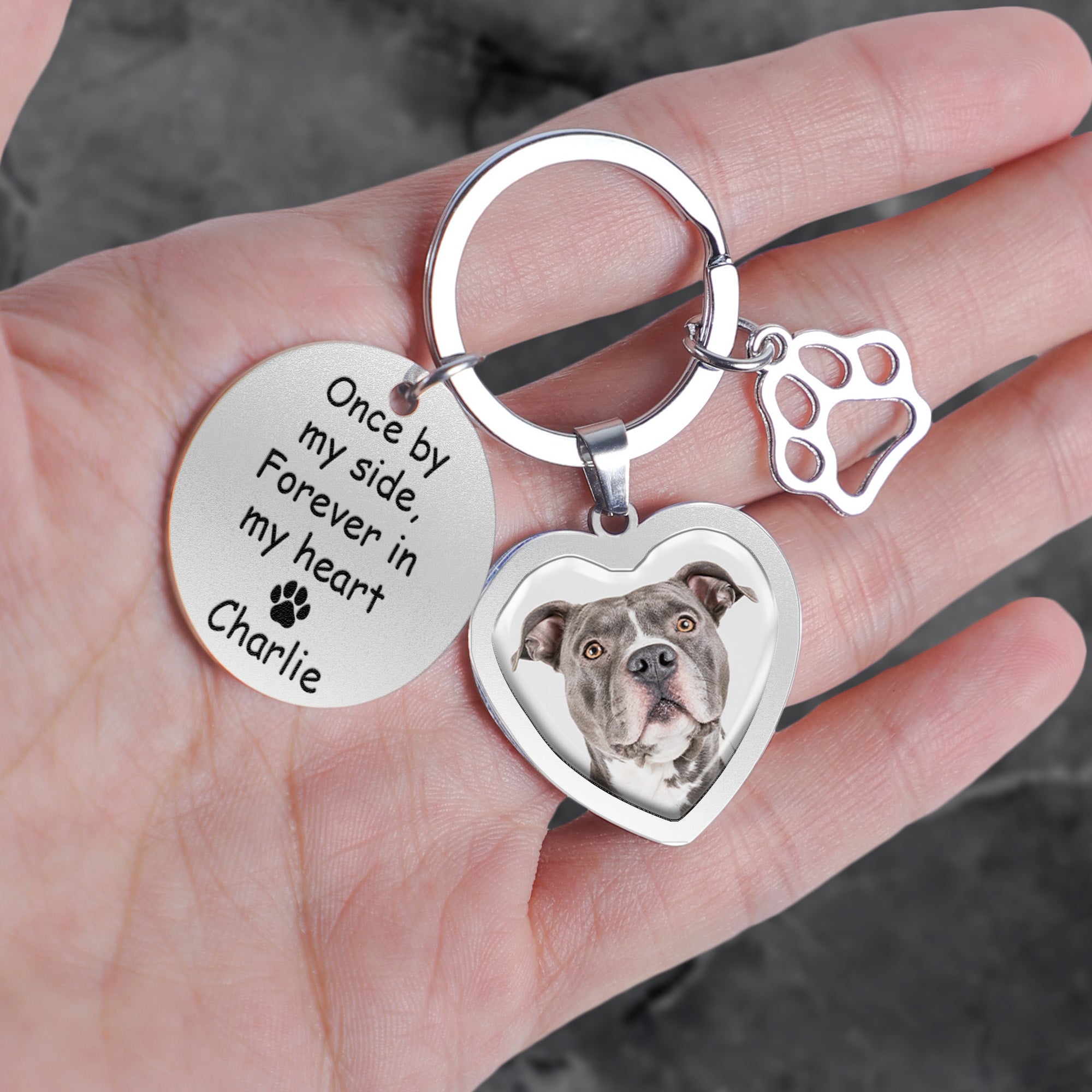 Pet Once By My Side Forever In My Heart - Personalized Photo Keychain