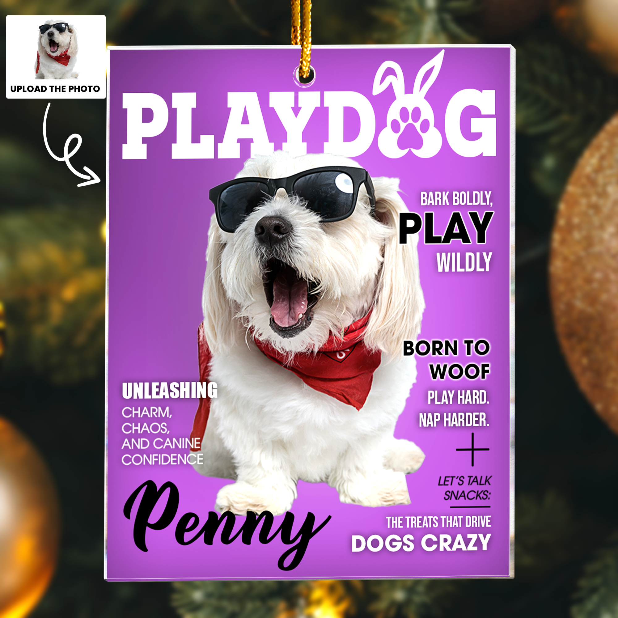 Pet Playdog Playcat Magazine - Custom Pet Portrait - Gifts For Dog Lovers, Cat Lovers - Personalized Acrylic Photo Ornament