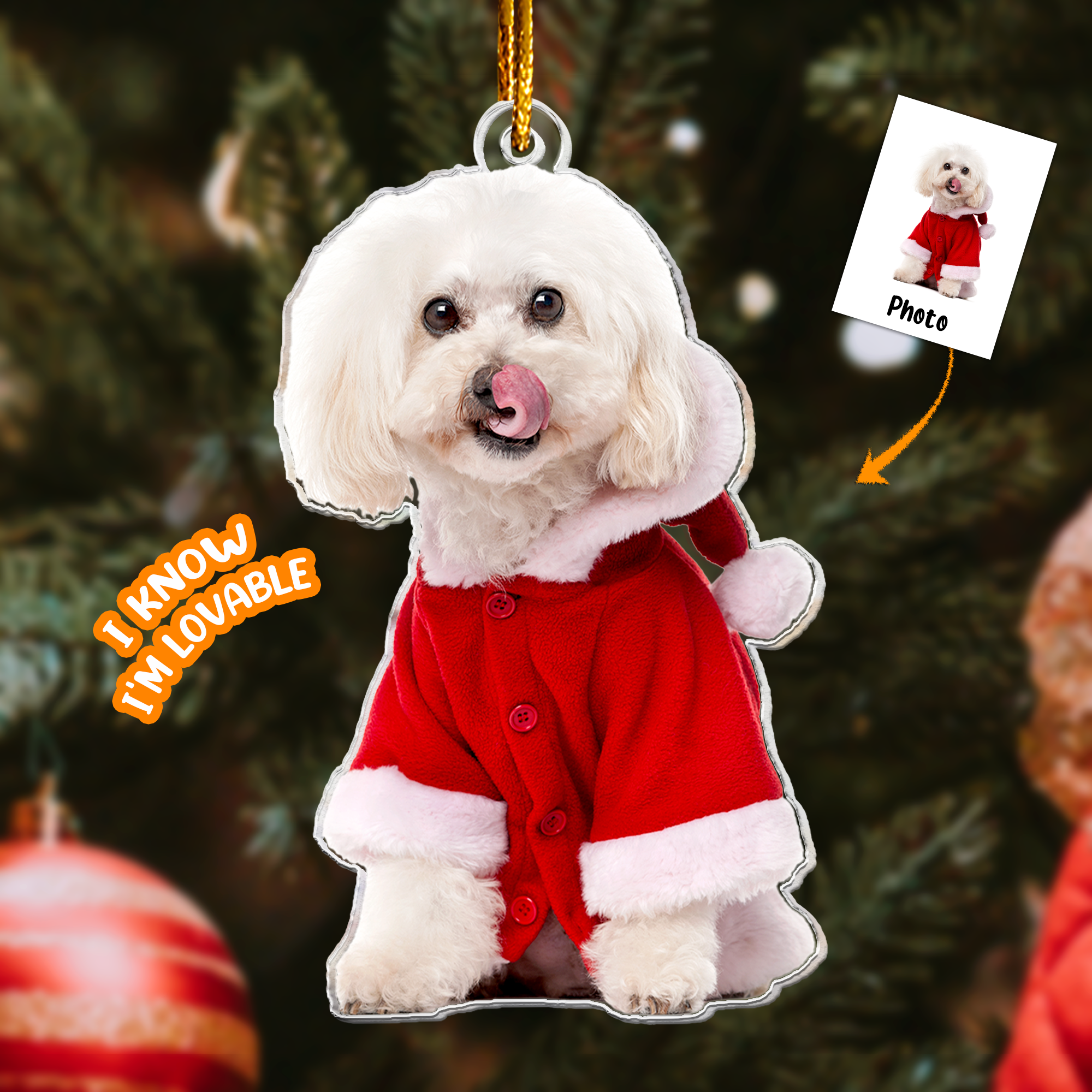 Poodle Christmas Decorations - Poodle Dog Ornament - Personalized Acrylic Photo Ornament