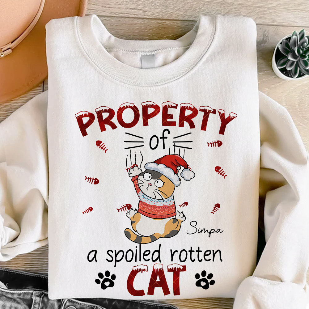 Property Of A Spoiled Rotten Cat - Personalized Shirt