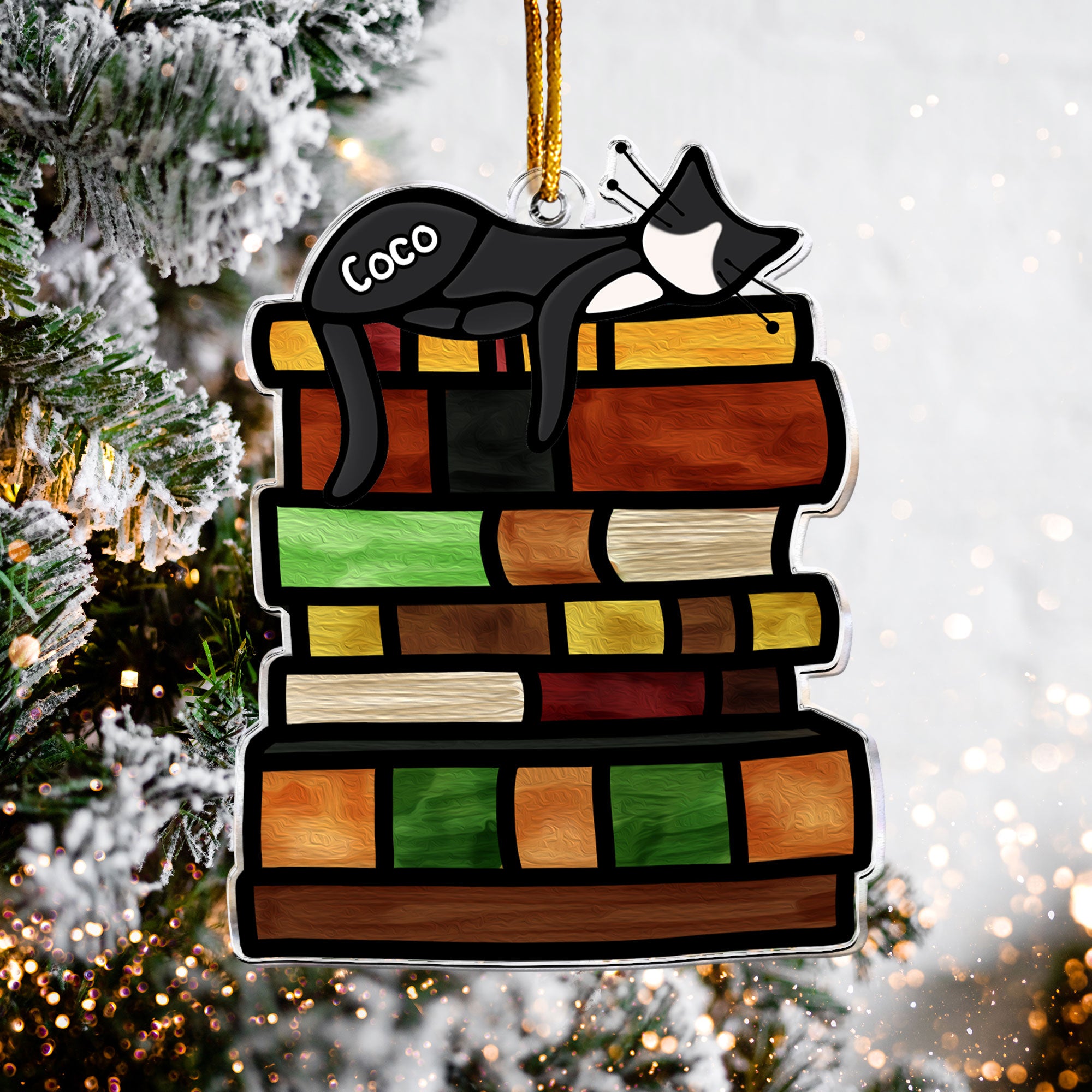 Sleeping Cat On Books - Personalized Acrylic Ornament