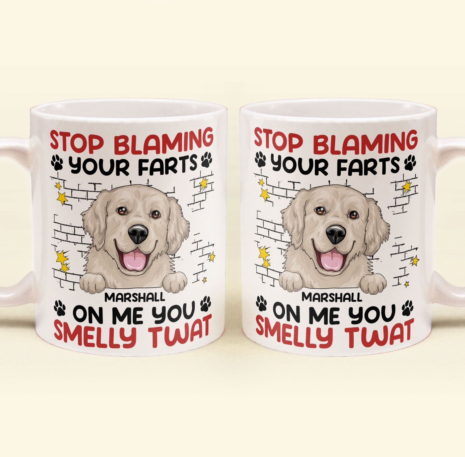 Stop Blaming Your Farts On Me You Smelly Twat Dog Funny - Personalized Mug