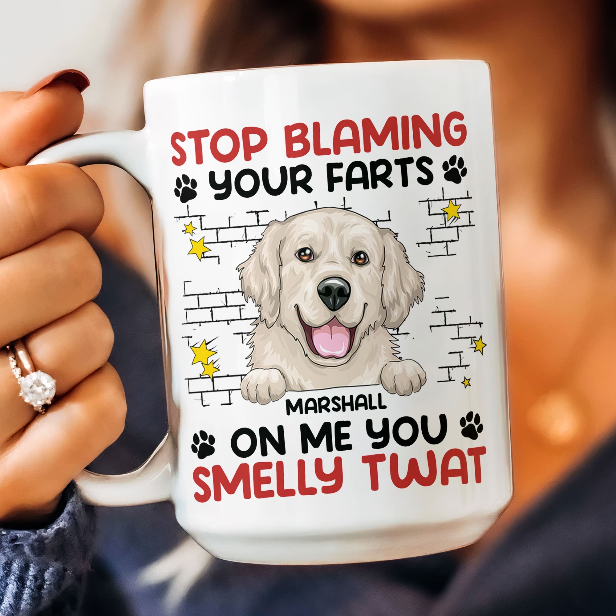 Stop Blaming Your Farts On Me You Smelly Twat Dog Funny - Personalized Mug