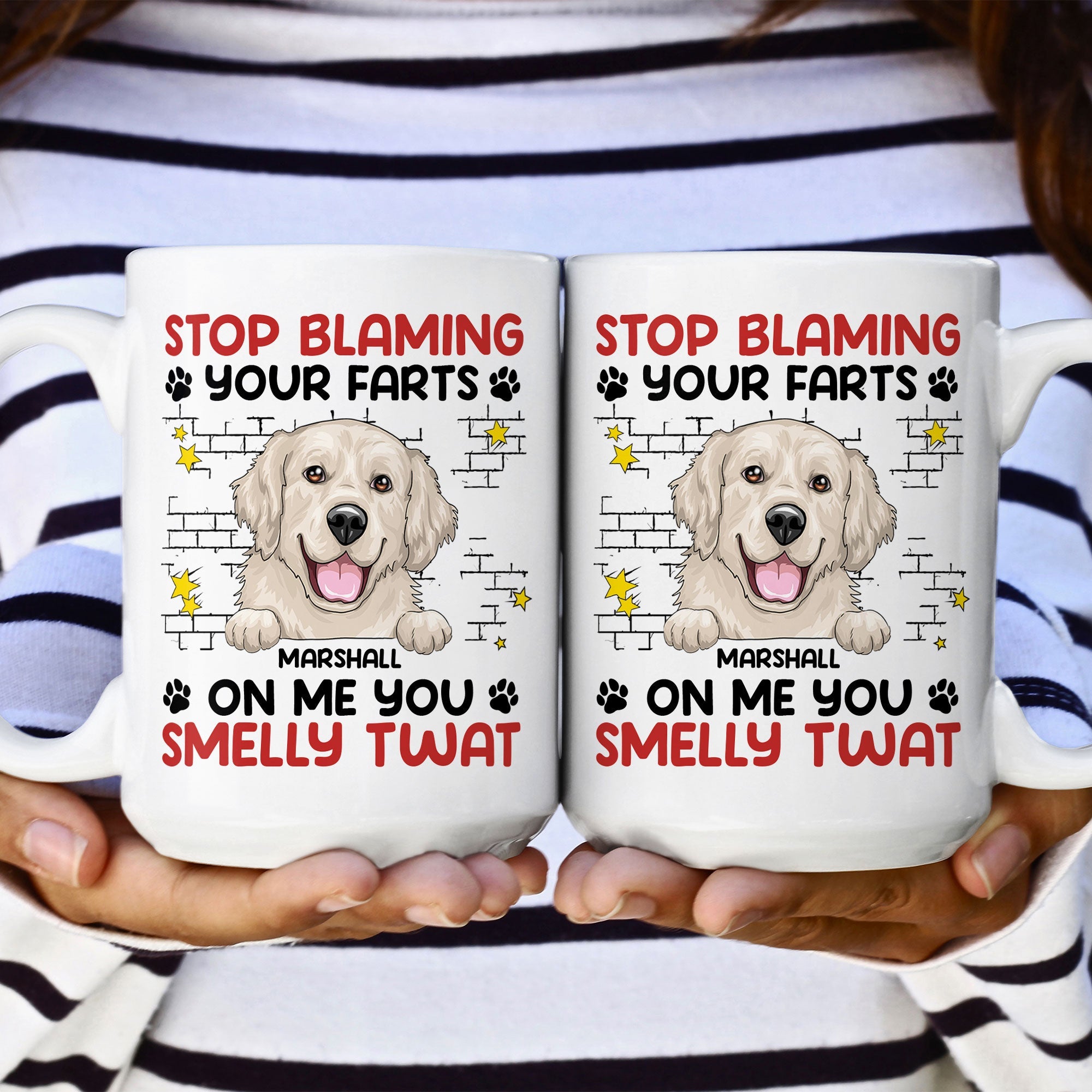 Stop Blaming Your Farts On Me You Smelly Twat Dog Funny - Personalized Mug