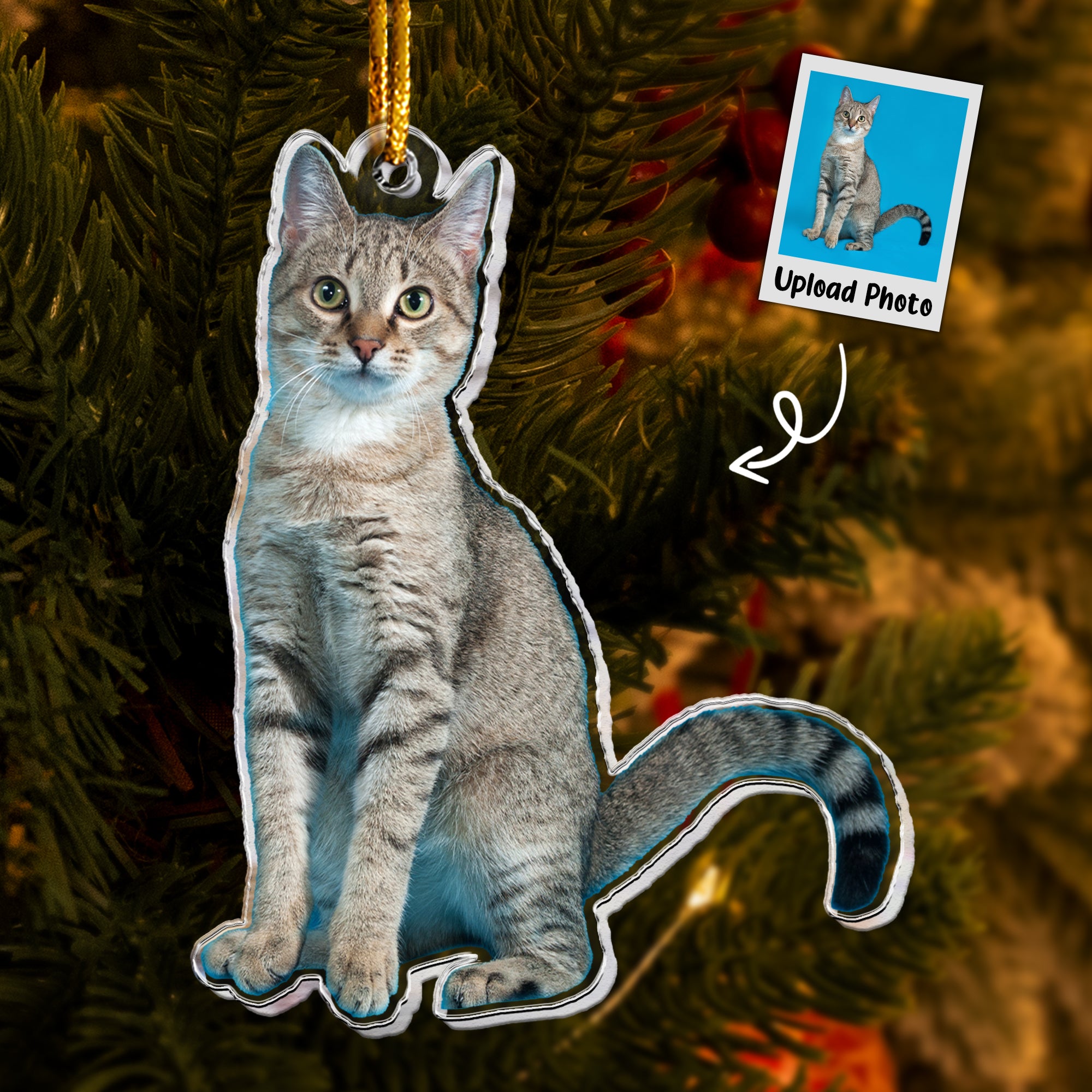 Tabby Cat Ornament - Tabby Cat Christmas Ornament - Personalized Acrylic Photo Ornament