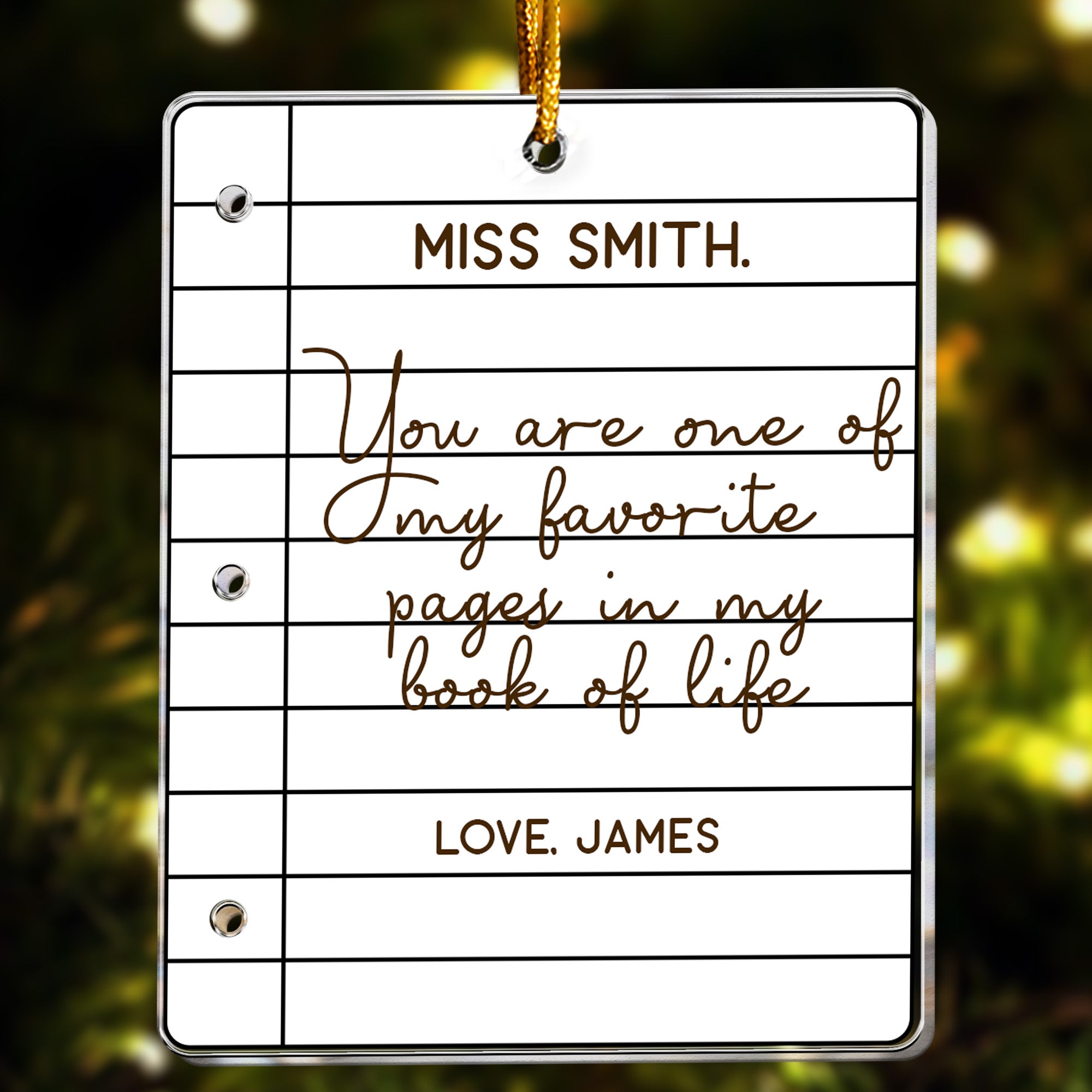 Teacher Ornament - Favorite Pages In My Book Of Life - Thank You Gift - Personalized Acrylic Ornament