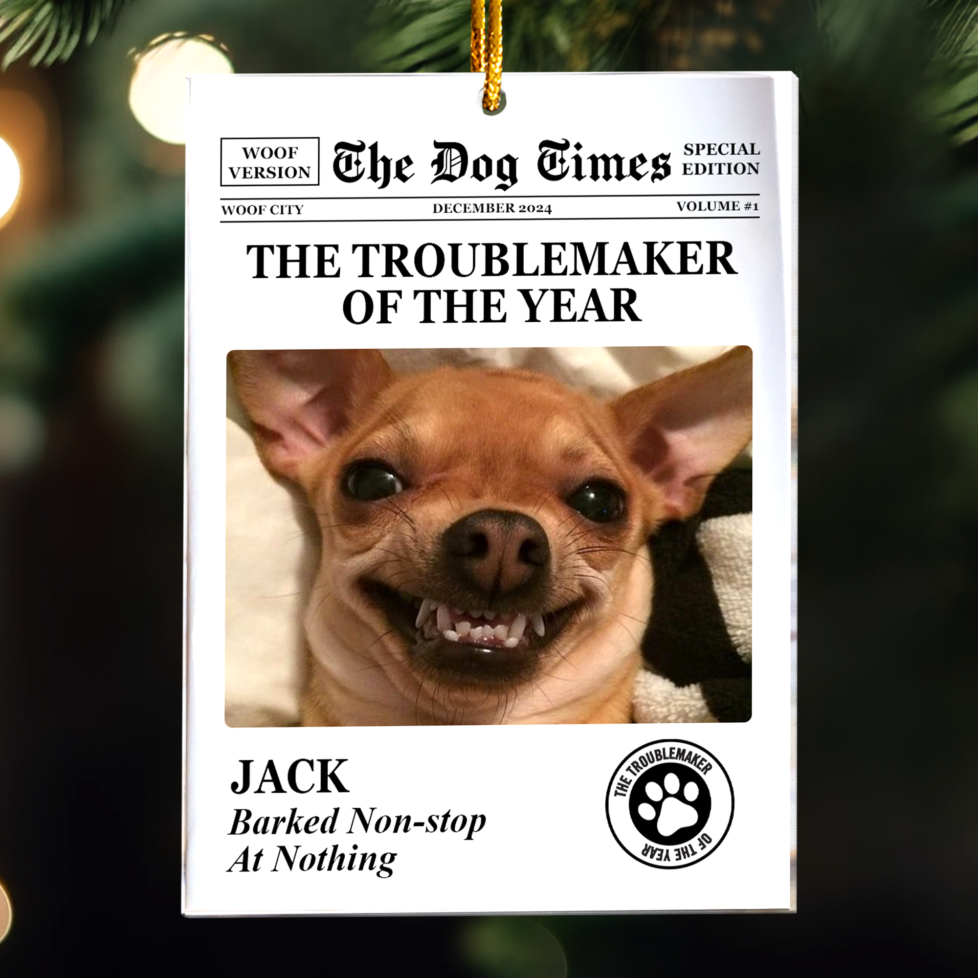 The Dog Times, The Meow Times - Troublemaker Of The Year - Personalized Acrylic Photo Ornament