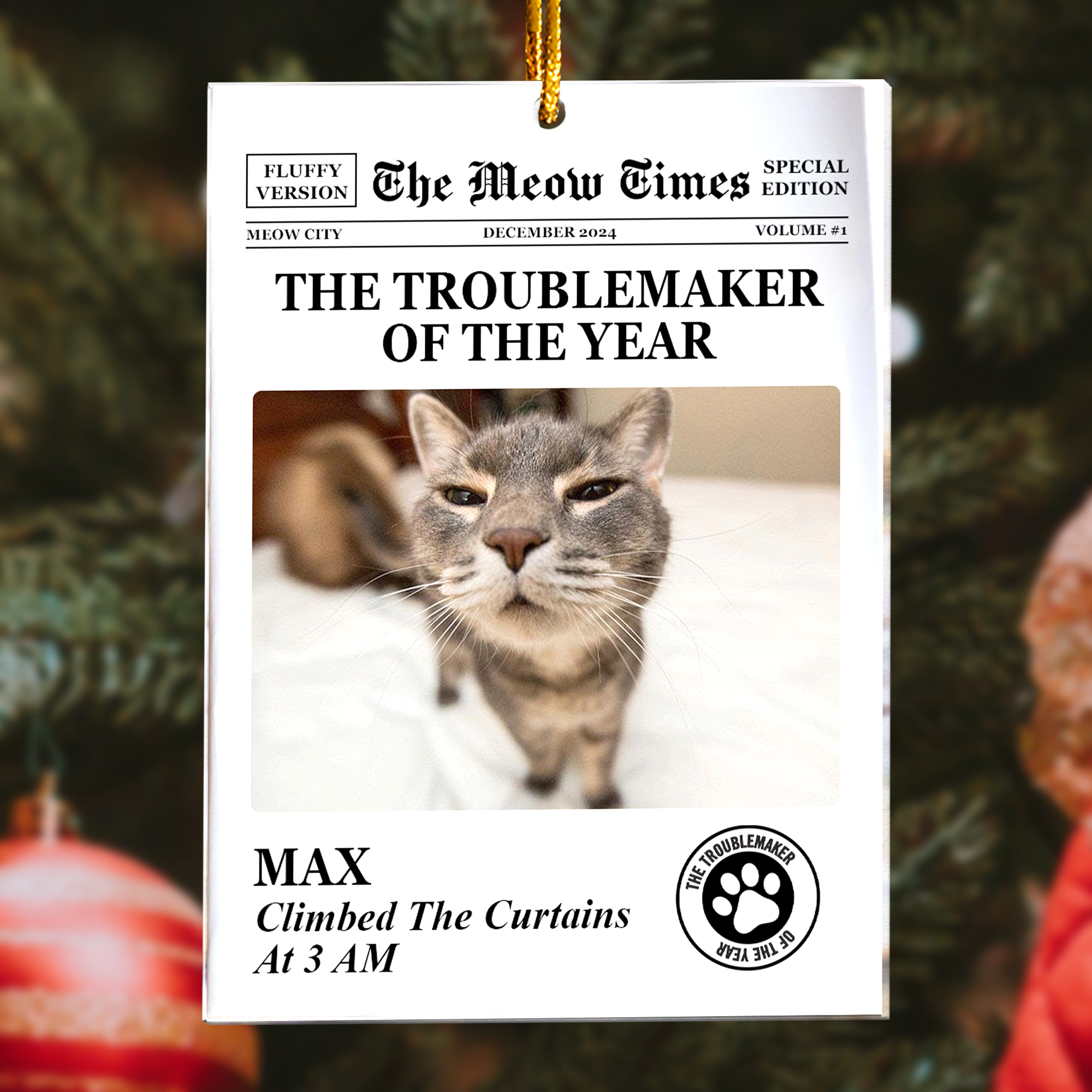 The Dog Times, The Meow Times - Troublemaker Of The Year - Personalized Acrylic Photo Ornament