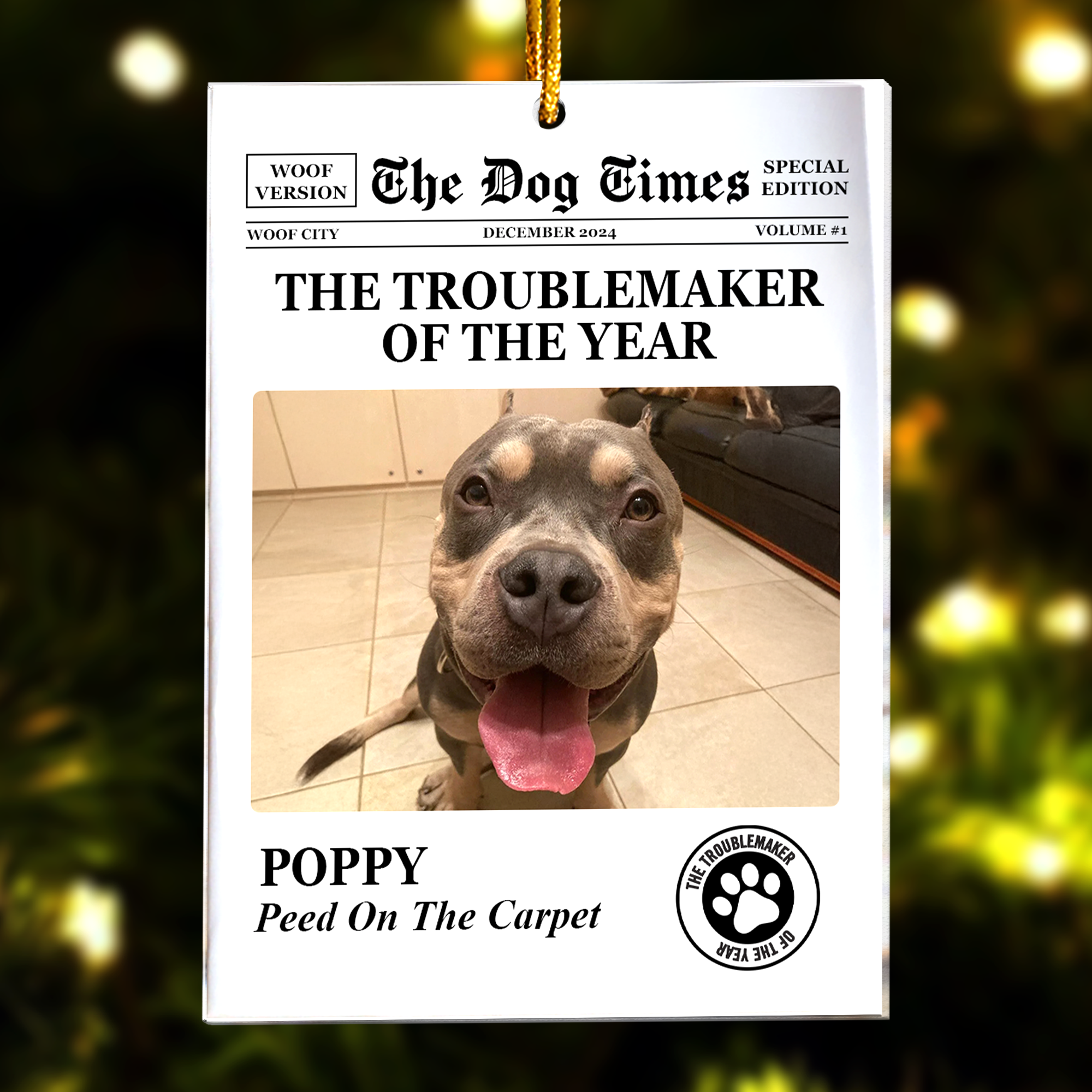 The Dog Times, The Meow Times - Troublemaker Of The Year - Personalized Acrylic Photo Ornament