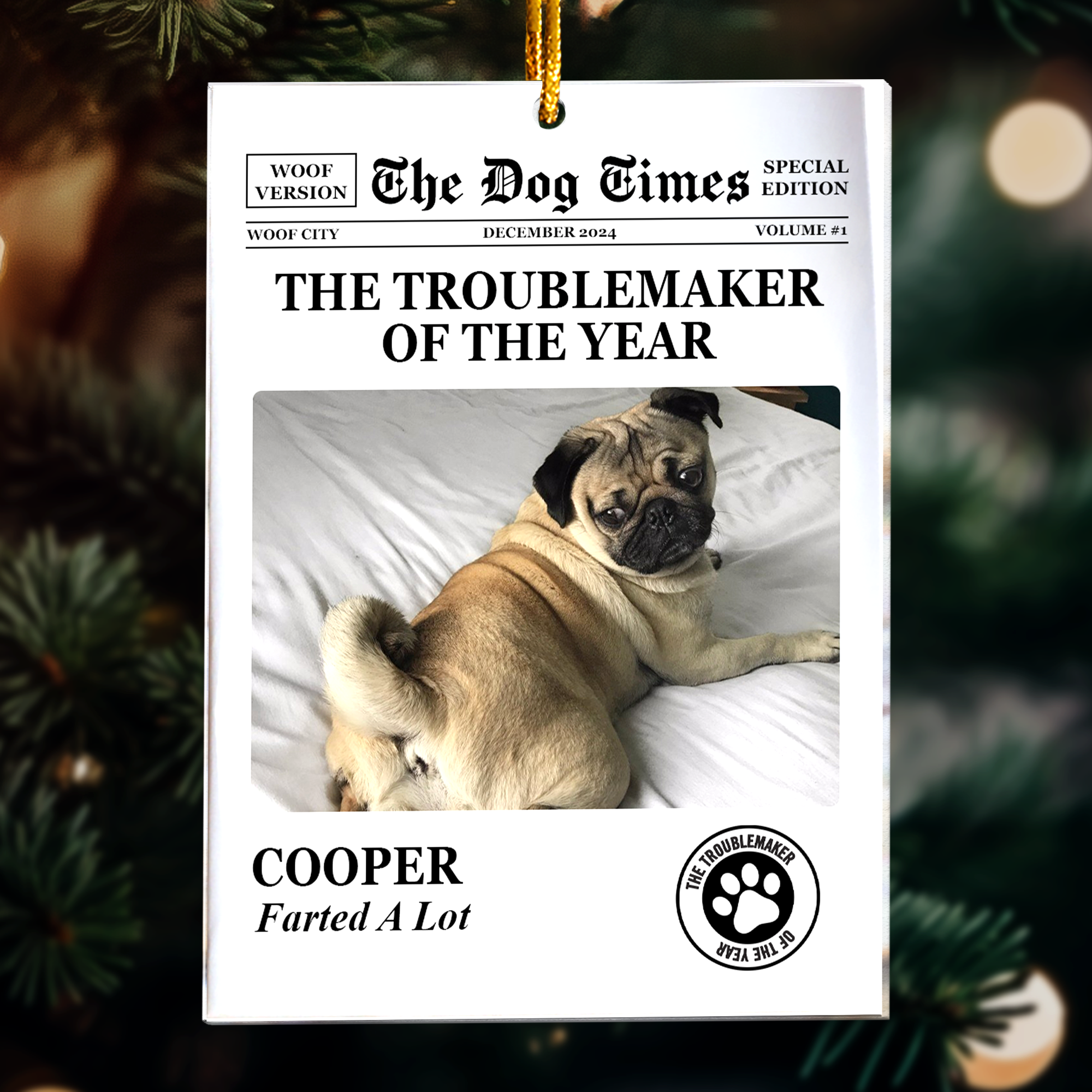 The Dog Times, The Meow Times - Troublemaker Of The Year - Personalized Acrylic Photo Ornament