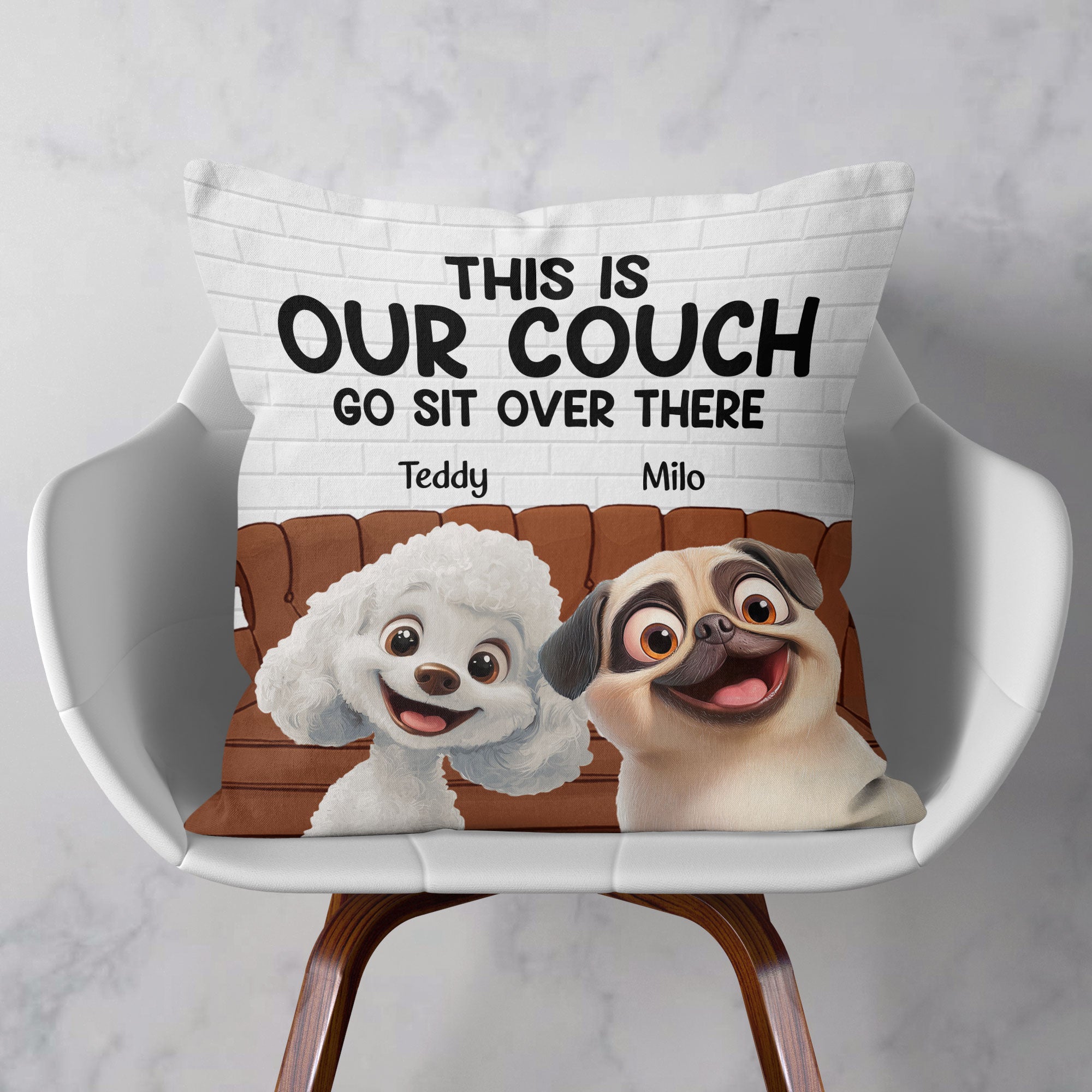 This Is Our Couch - New Cartoon Pet - Personalized Pillow (Insert Included)