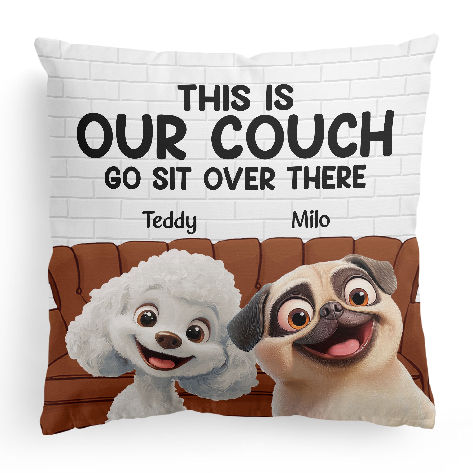 This Is Our Couch - New Cartoon Pet - Personalized Pillow (Insert Included)