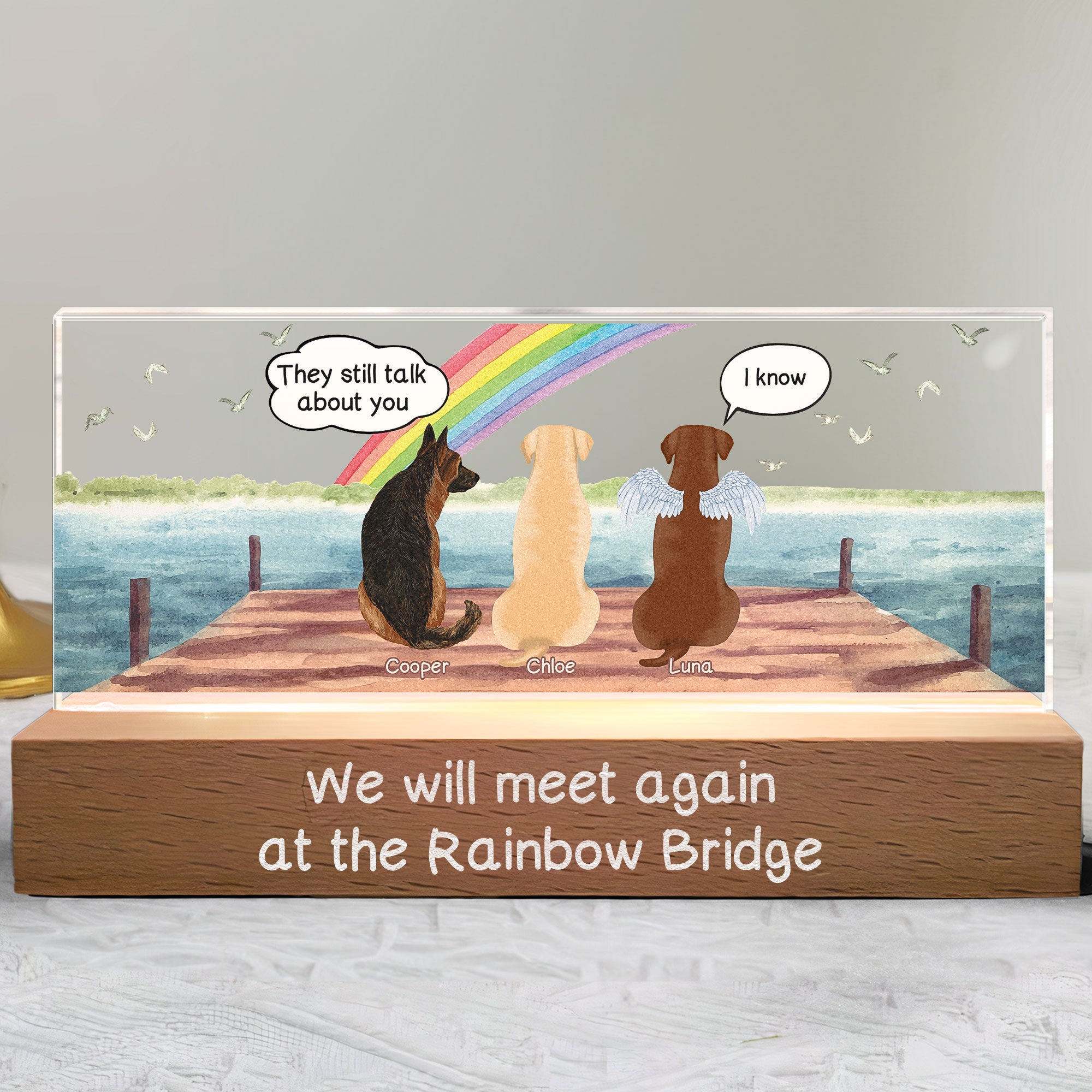 We Will Meet Again At The Rainbow Bridge - Personalized LED Night Light