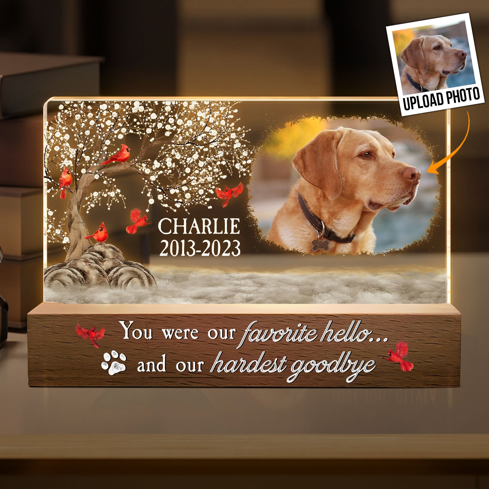 You Were My Favorite Hello And My Hardest Goodbye - Personalized Photo LED Night Light