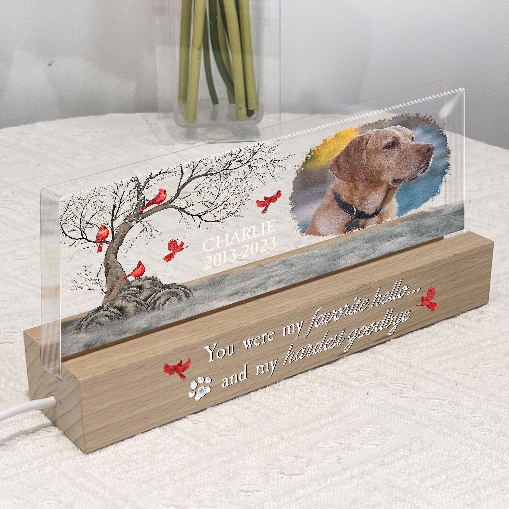 You Were My Favorite Hello And My Hardest Goodbye - Personalized Photo LED Night Light