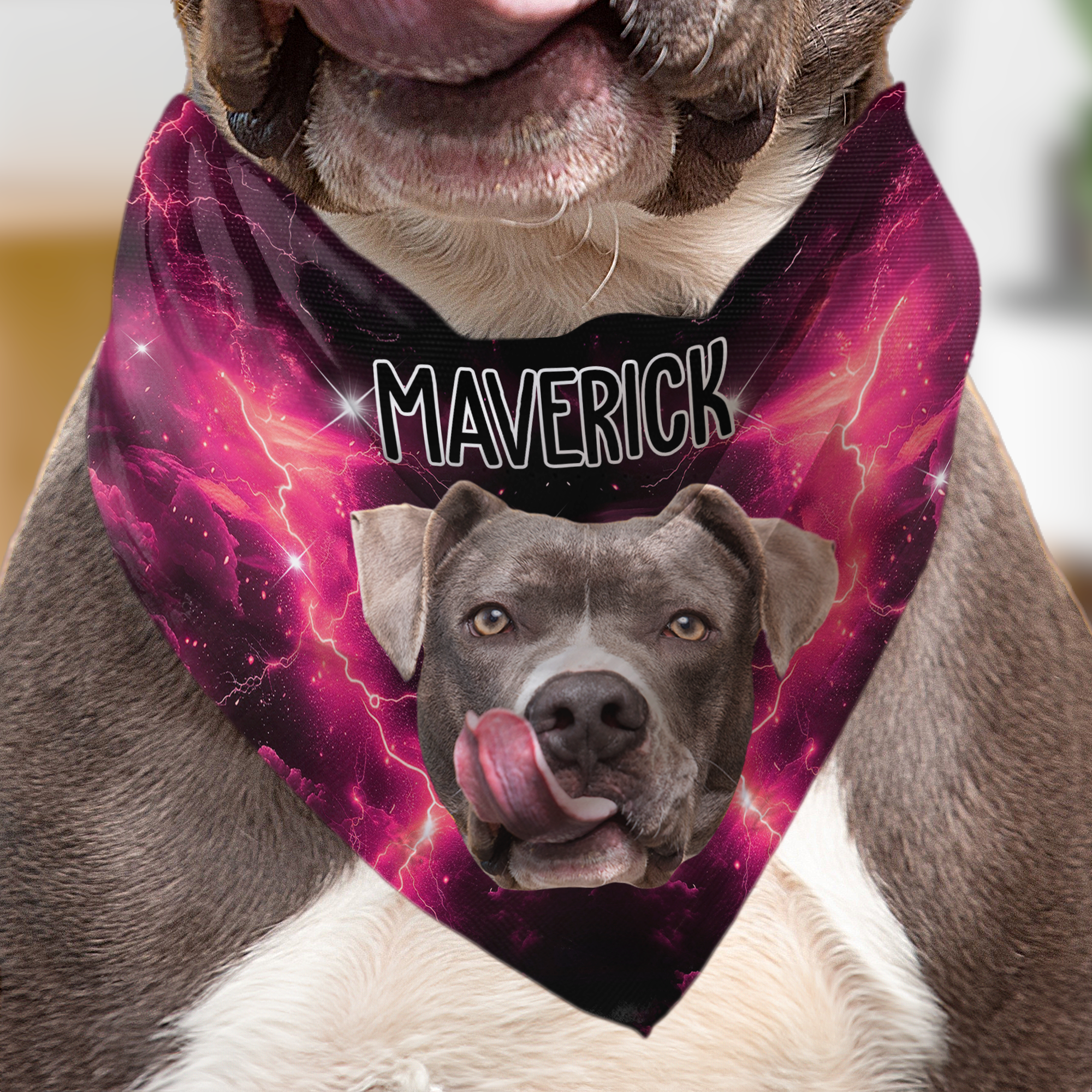 Bootleg Custom Photo Pet - Personalized Photo Dog Bandana Collar