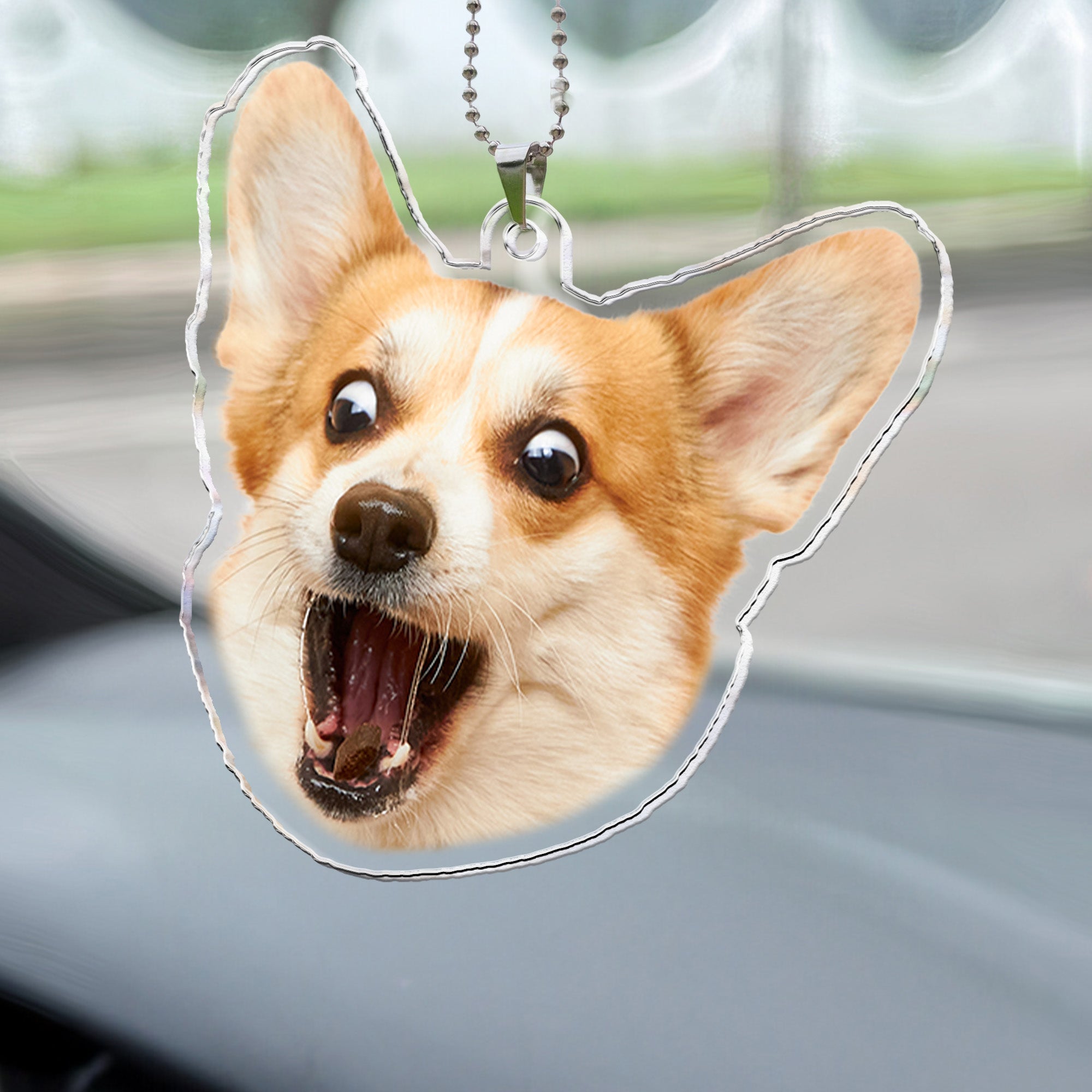 Custom Funny Face Gift For Family Pet Lovers - Personalized Photo Rear View Mirror Accessory