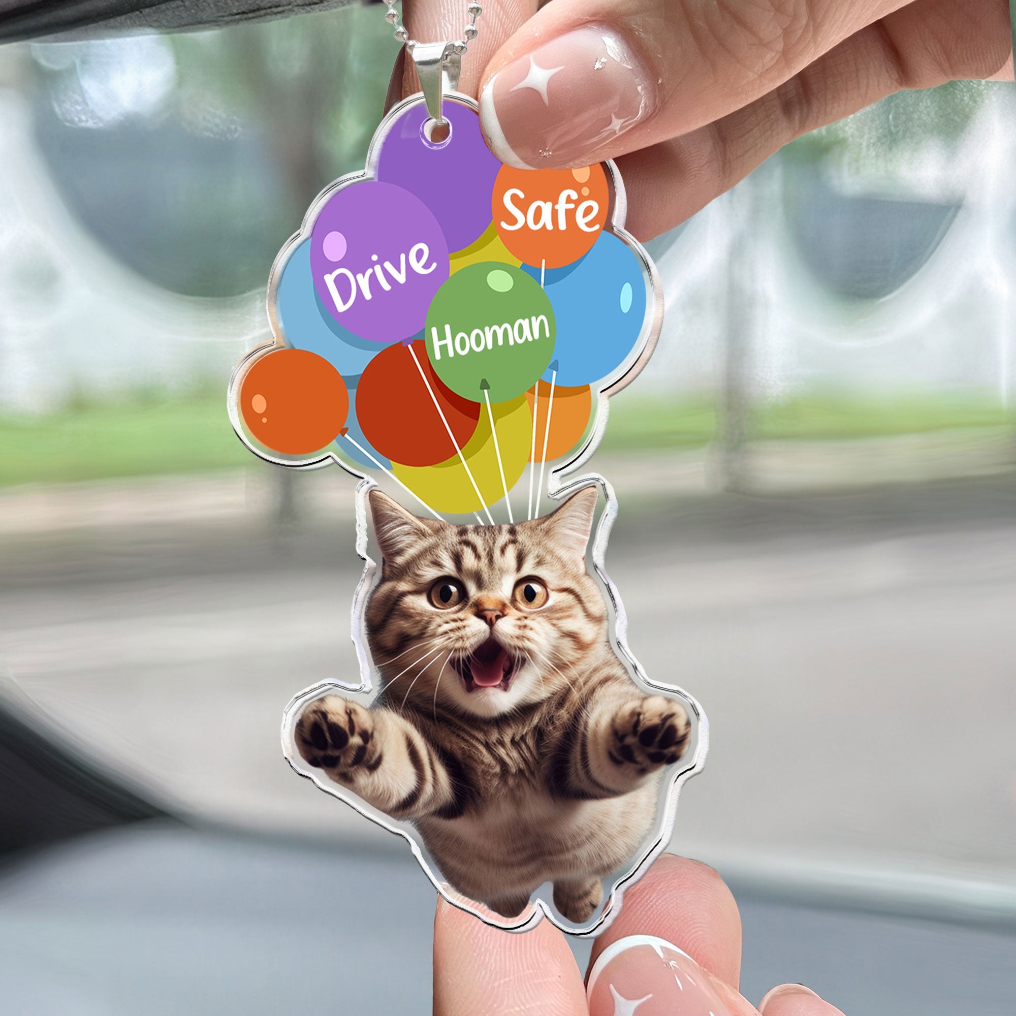 Drive Safe Hooman - Personalized Photo Rear View Mirror Accessory