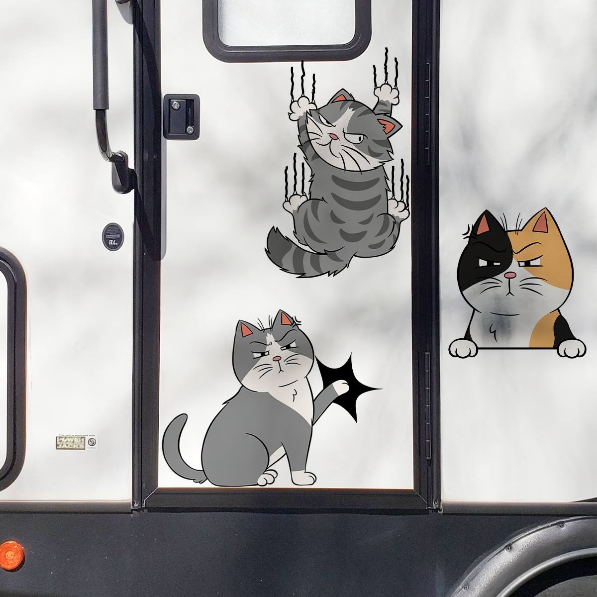 Funny Cats - Personalized Photo Car Decal