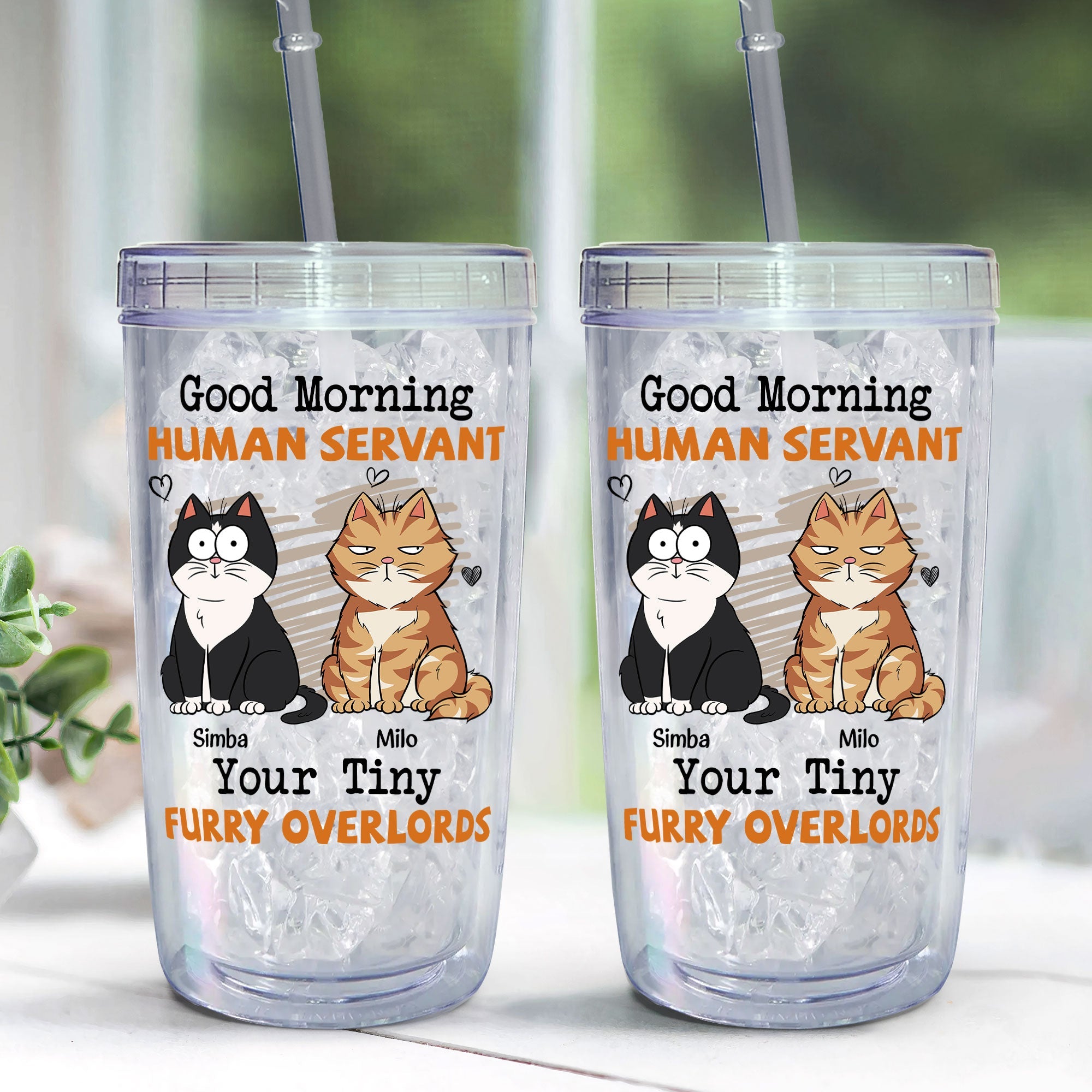 Good Morning Human Servant 2 - Personalized Acrylic Tumbler With Straw