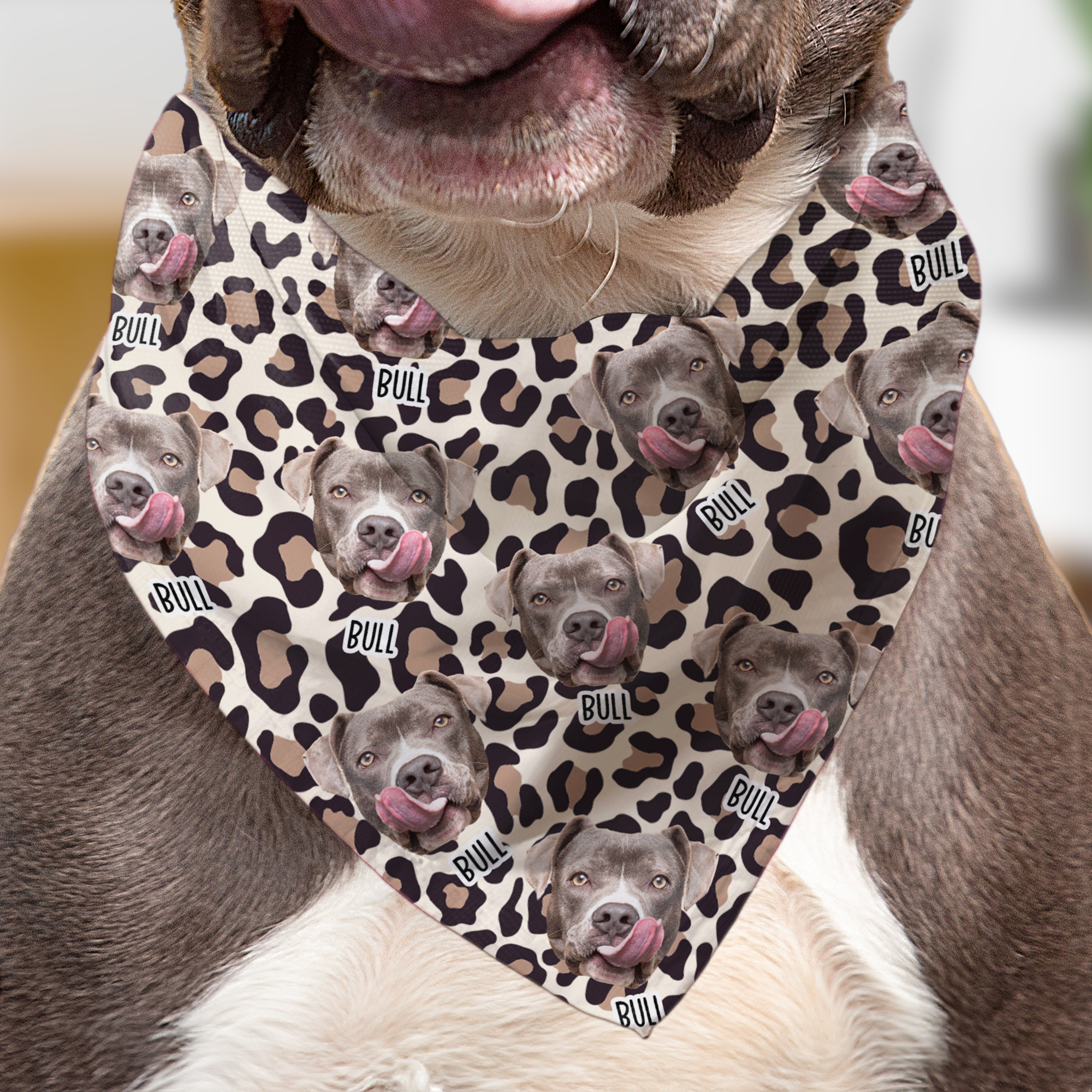 Leopard Dog Custom Face - Personalized Photo Dog Bandana Collar