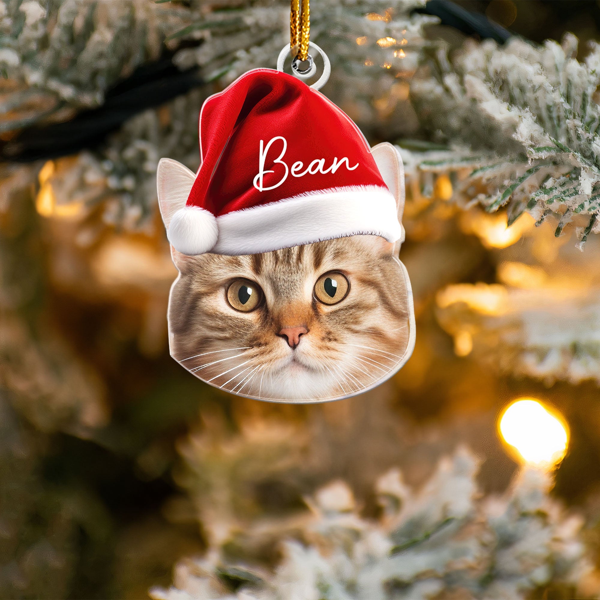 Pet Funny Christmas Face - Personalized Pet Photo Ornament