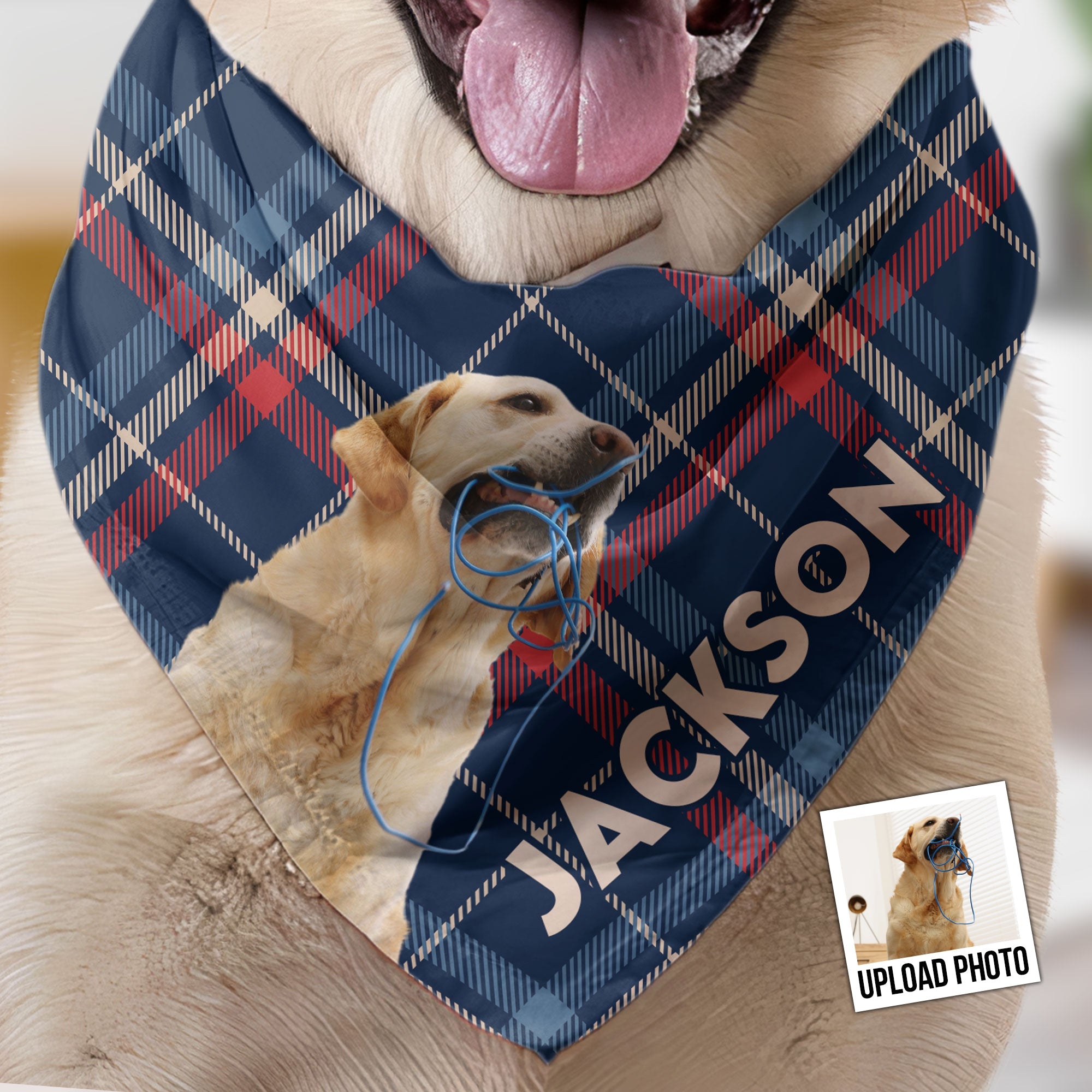 Pet Plaid Custom Photo - Personalized Photo Dog Bandana Collar