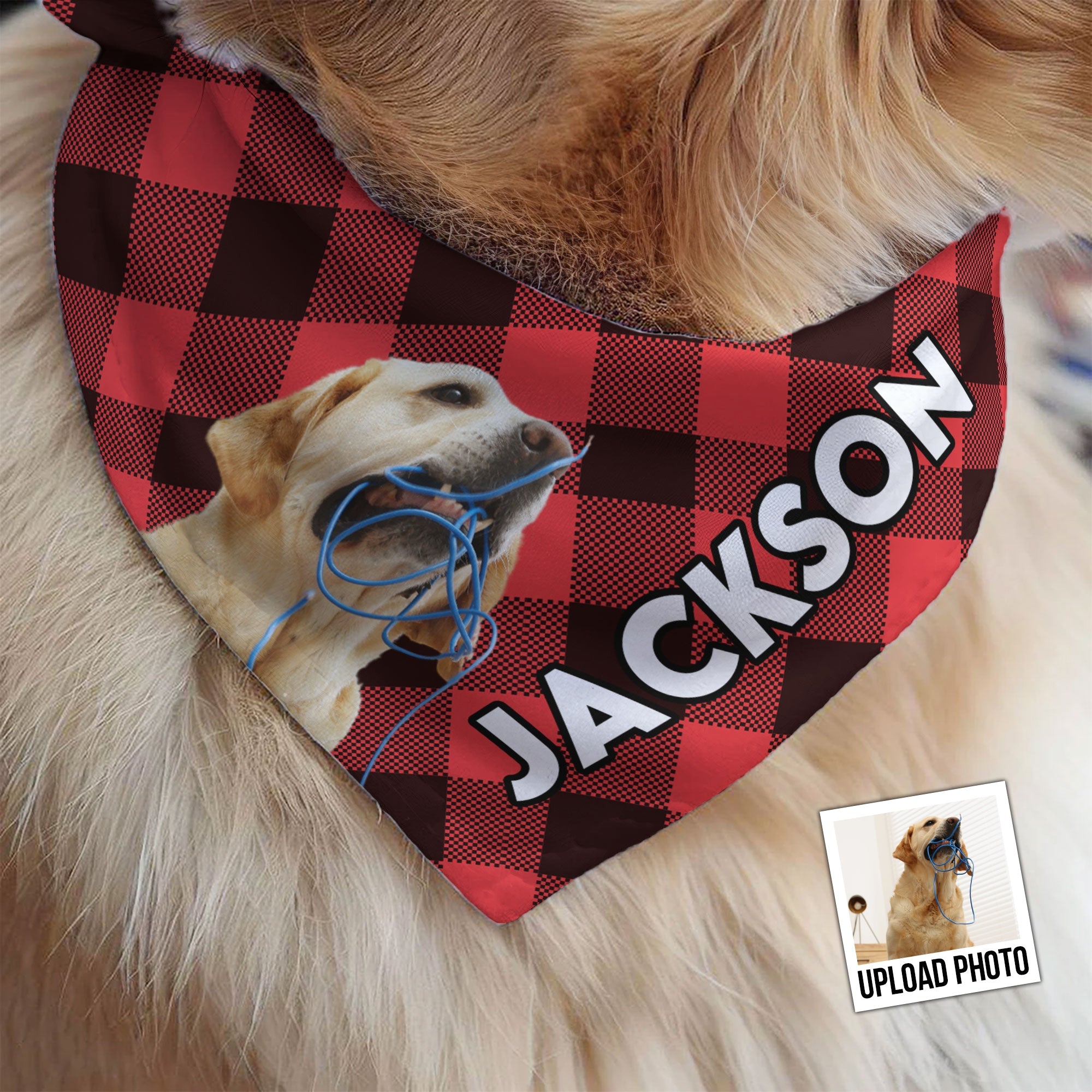 Pet Plaid Custom Photo - Personalized Photo Dog Bandana Collar