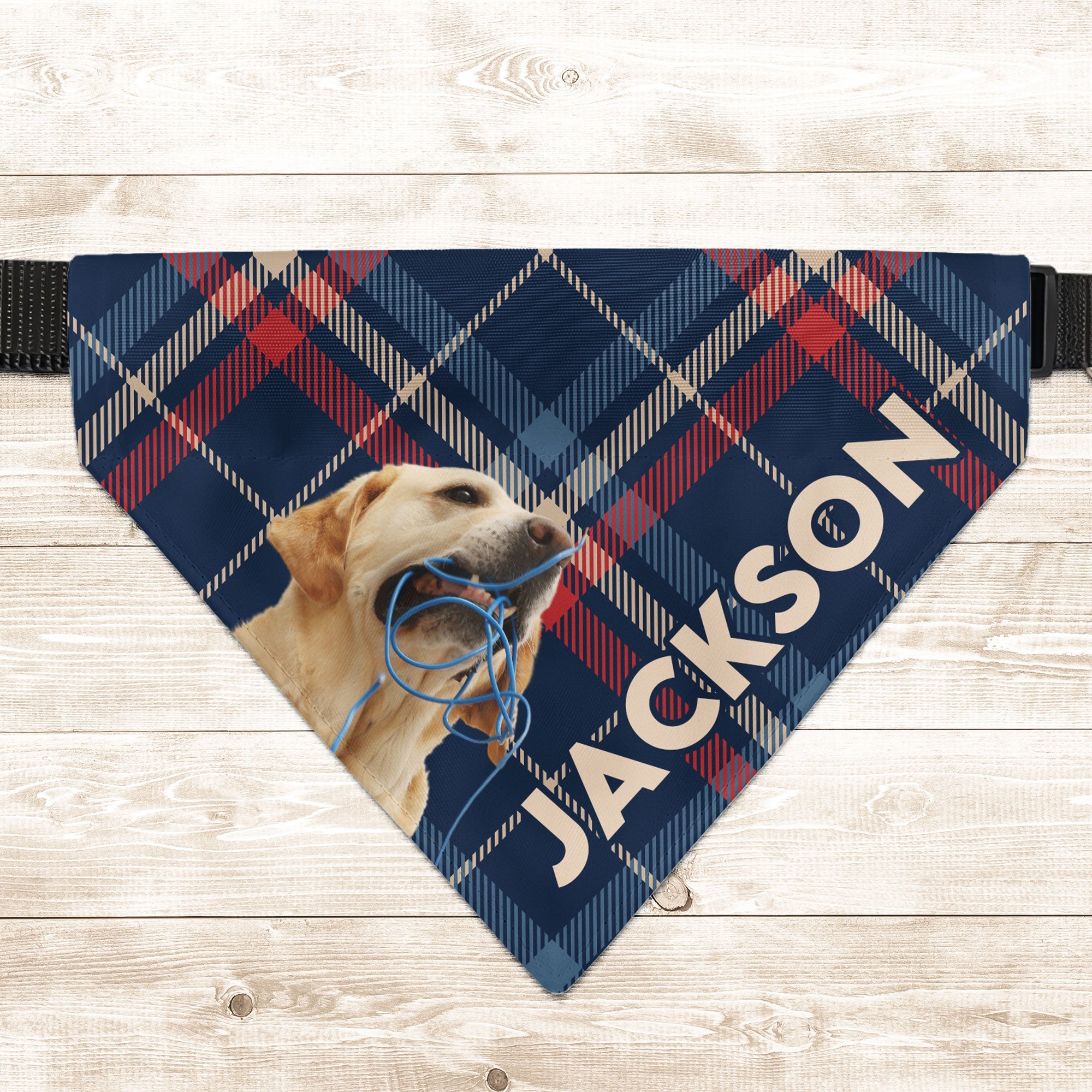 Pet Plaid Custom Photo - Personalized Photo Dog Bandana Collar