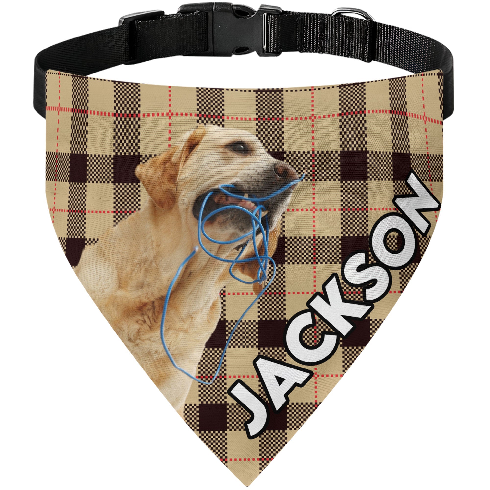 Pet Plaid Custom Photo - Personalized Photo Dog Bandana Collar