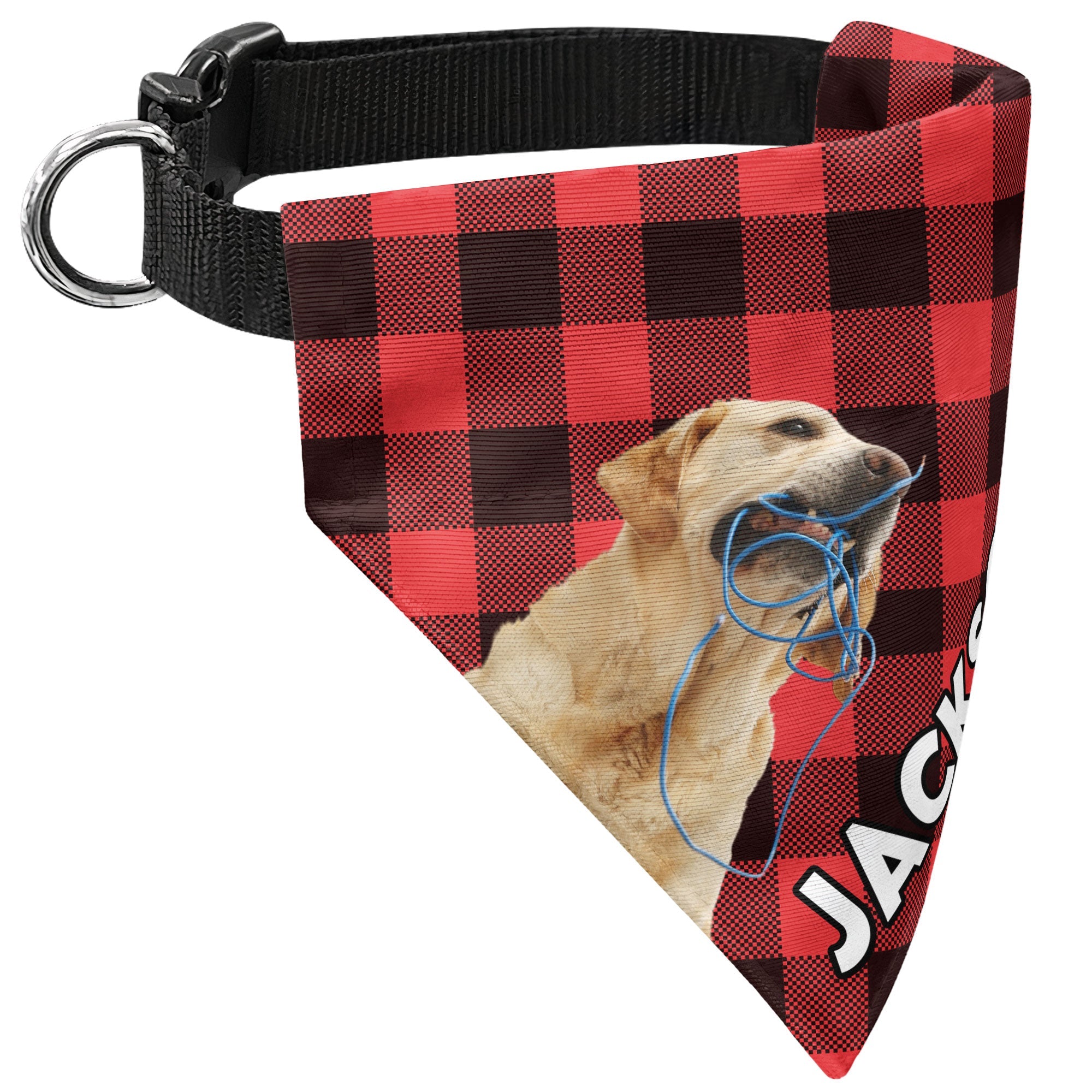 Pet Plaid Custom Photo - Personalized Photo Dog Bandana Collar