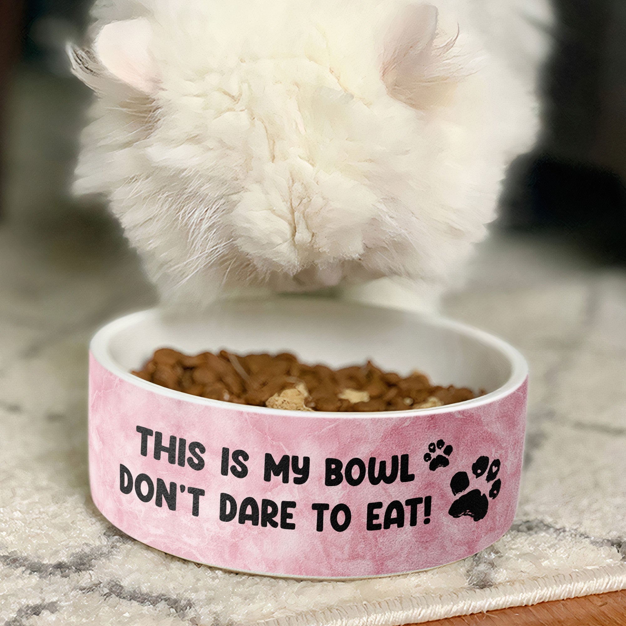 This Is My Bowl - Personalized Photo Pet Bowl