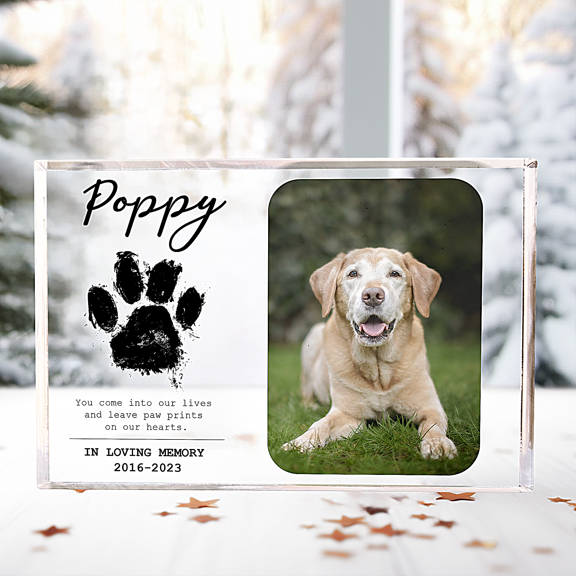 You Leave Paw Prints On Our Hearts - Personalized Photo Rectangle Acrylic Plaque