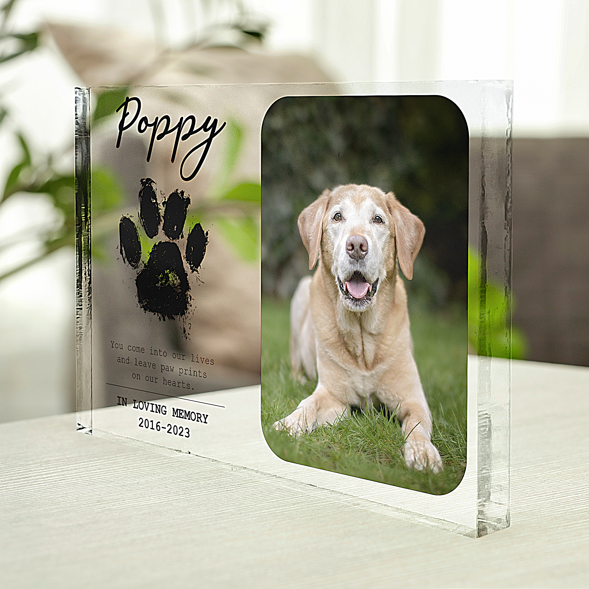 You Leave Paw Prints On Our Hearts - Personalized Photo Rectangle Acrylic Plaque