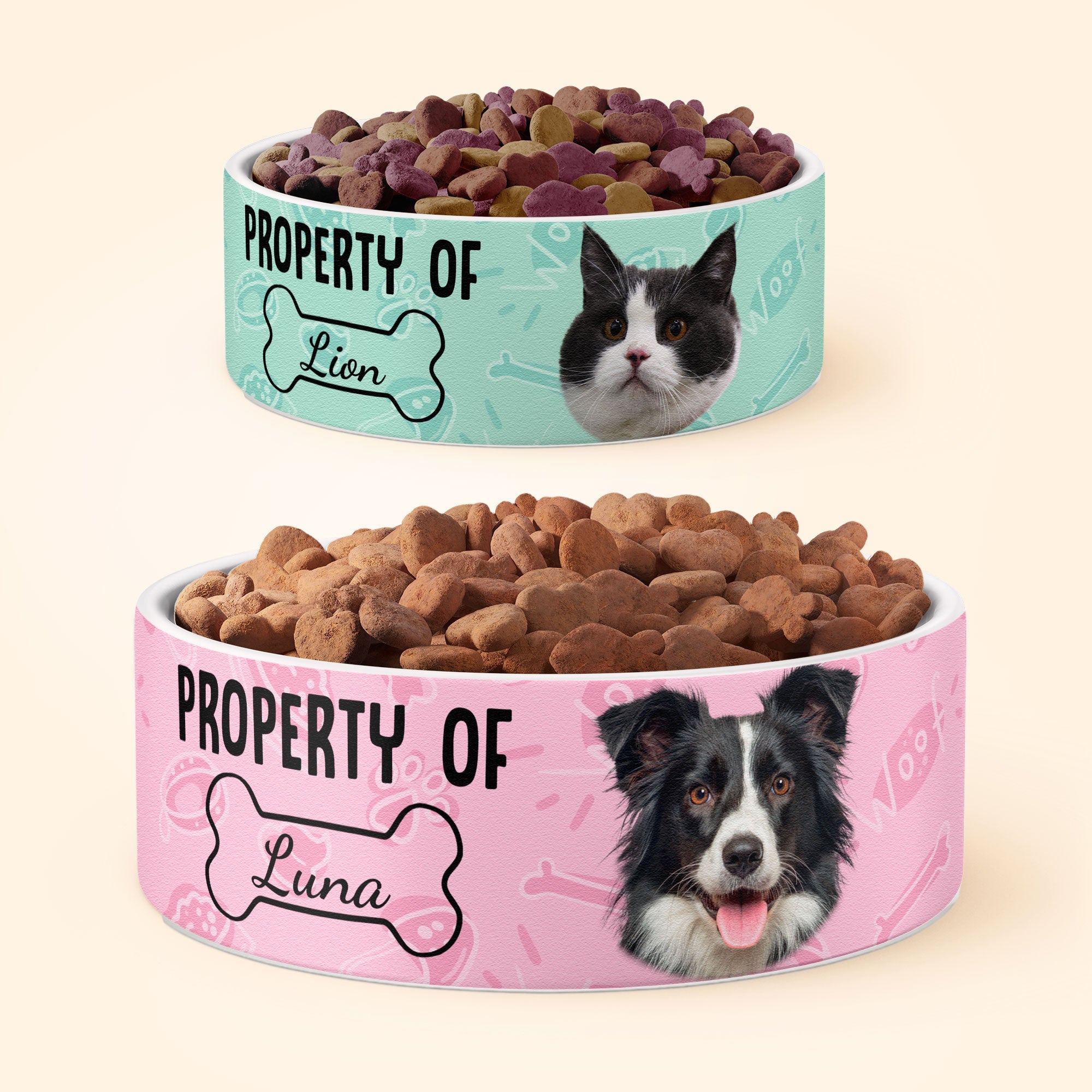 (Photo Inserted) Property Of My Dog/Cat - Personalized Pet Bowl