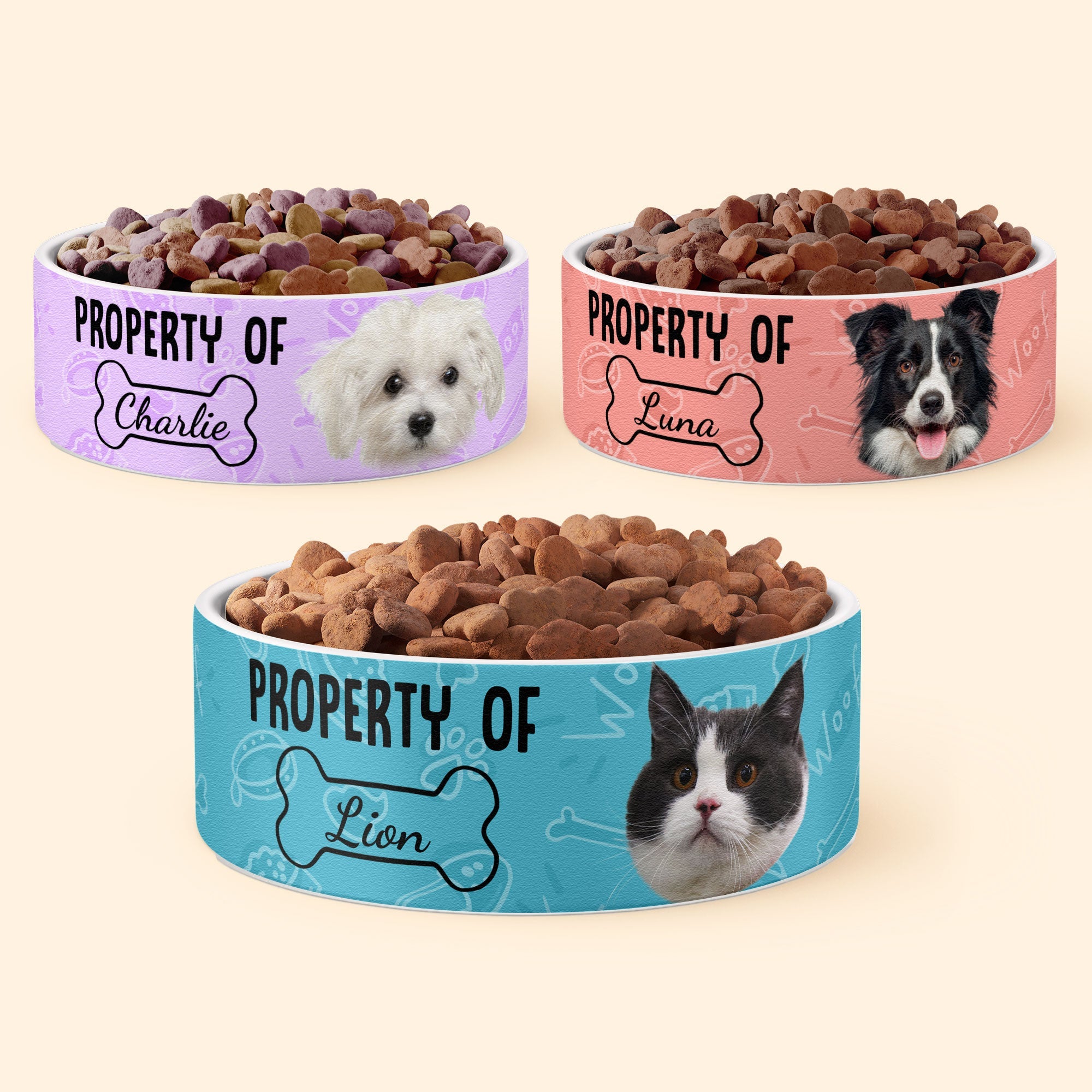 (Photo Inserted) Property Of My Dog/Cat - Personalized Pet Bowl