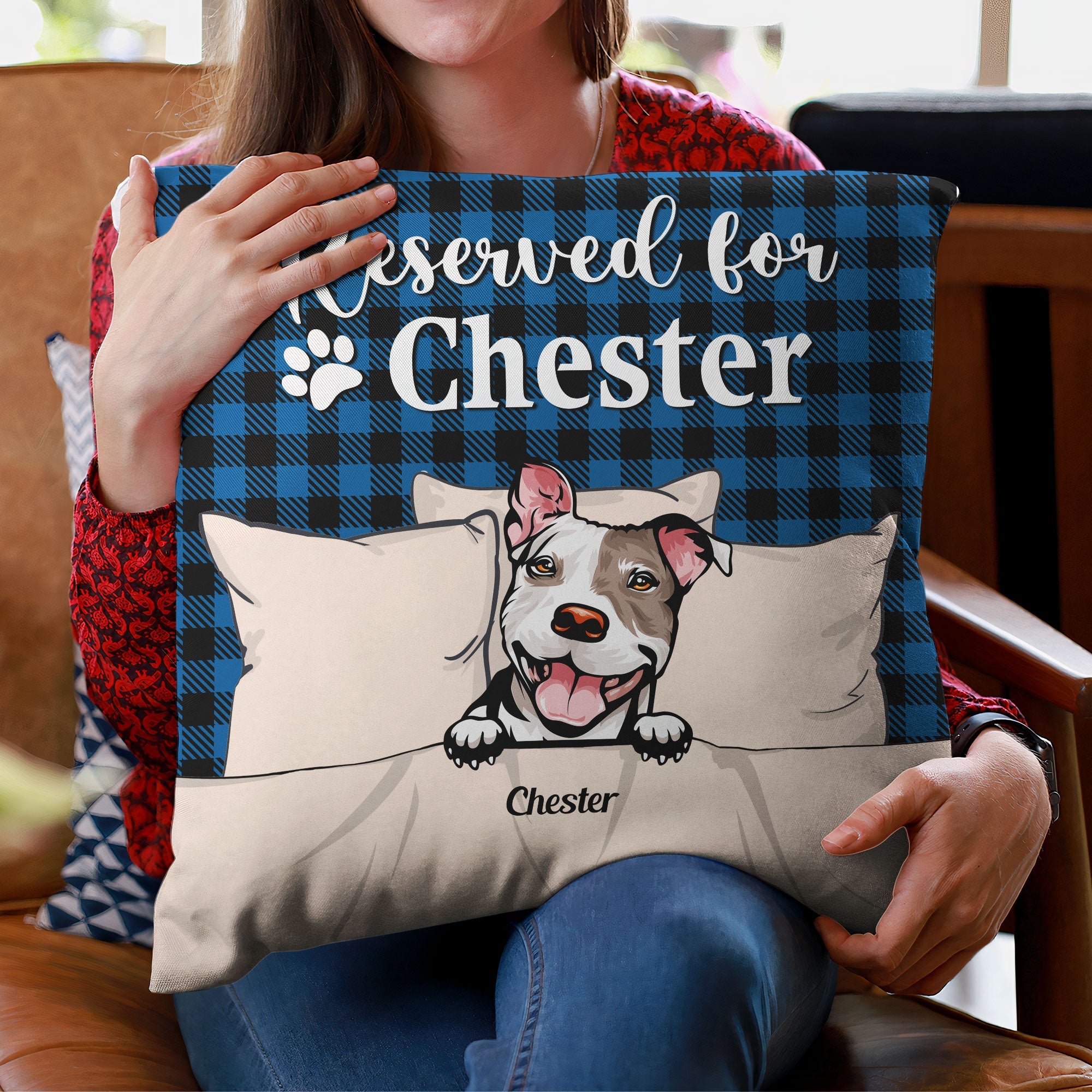 Reserved For My Dogs And Cats - Personalized Pillow (Insert Included) - Birthday Gift For Dog Mom, Cat Mom, Pet Parents