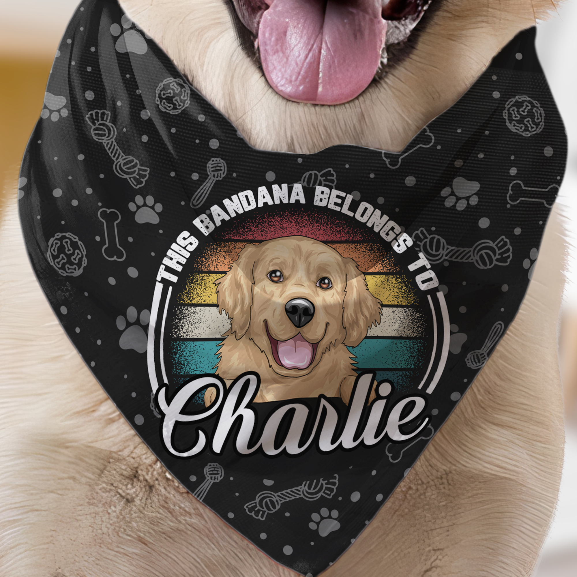 This Bandana Belongs To - Personalized Photo Bandana Collar